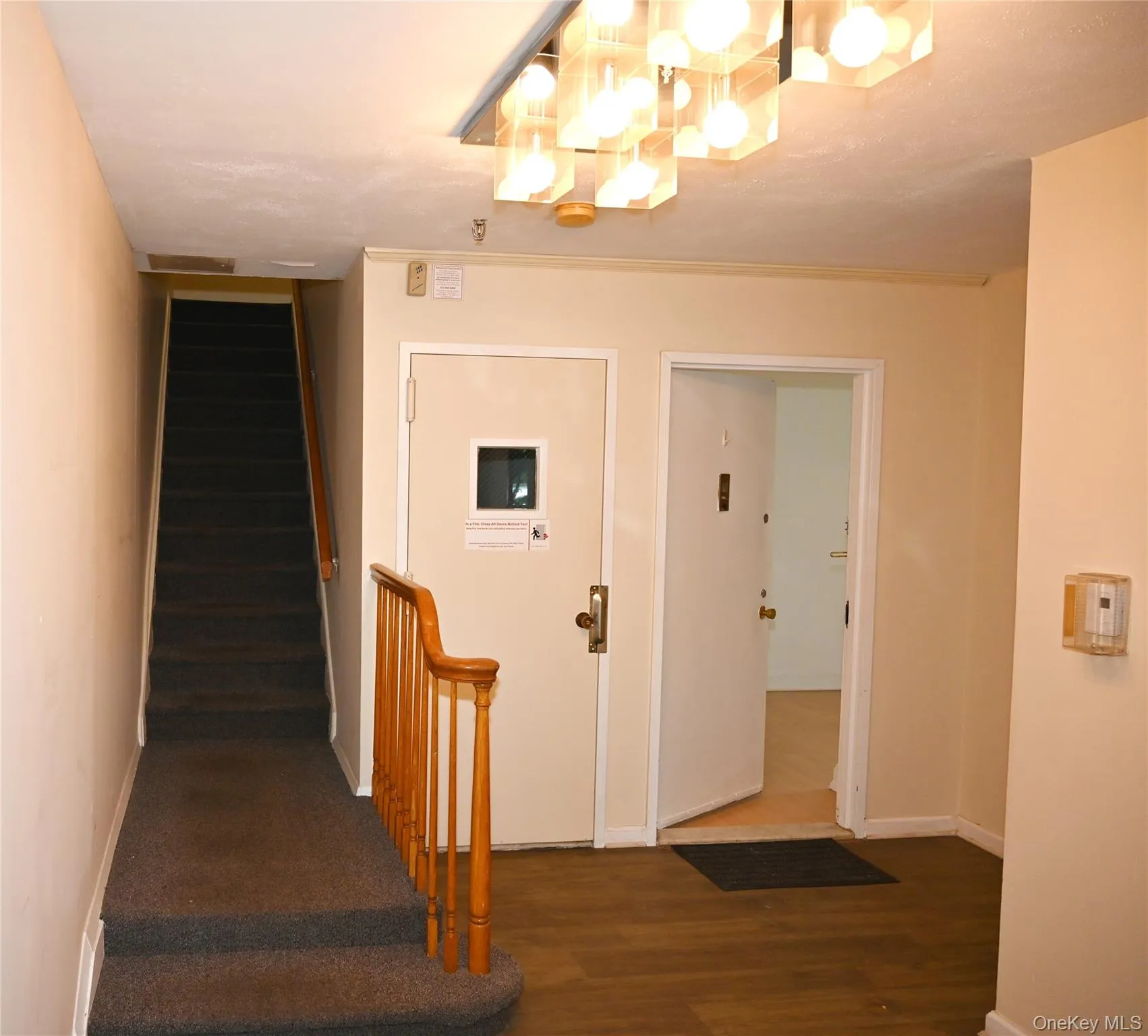 13-21 Michael Court, New York, NY, 1 Bedroom Bedrooms, 4 Rooms Rooms,1 BathroomBathrooms,Residential,For Rent,Michael,0,1014926 13-21 Michael Court, New York, NY, 1 Bedroom Bedrooms, 4 Rooms Rooms,1 BathroomBathrooms,Residential,For Rent,Michael,0,1014926
