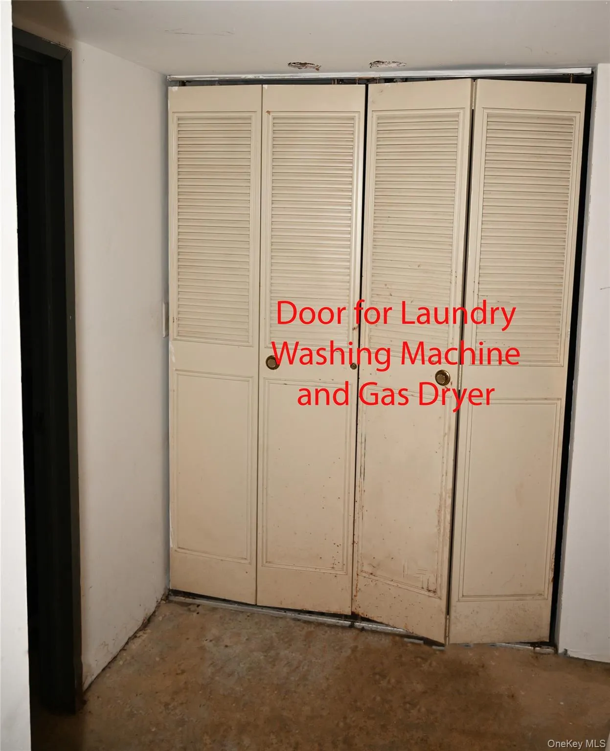 13-21 Michael Court, New York, NY, 1 Bedroom Bedrooms, 4 Rooms Rooms,1 BathroomBathrooms,Residential,For Rent,Michael,0,1014926 13-21 Michael Court, New York, NY, 1 Bedroom Bedrooms, 4 Rooms Rooms,1 BathroomBathrooms,Residential,For Rent,Michael,0,1014926