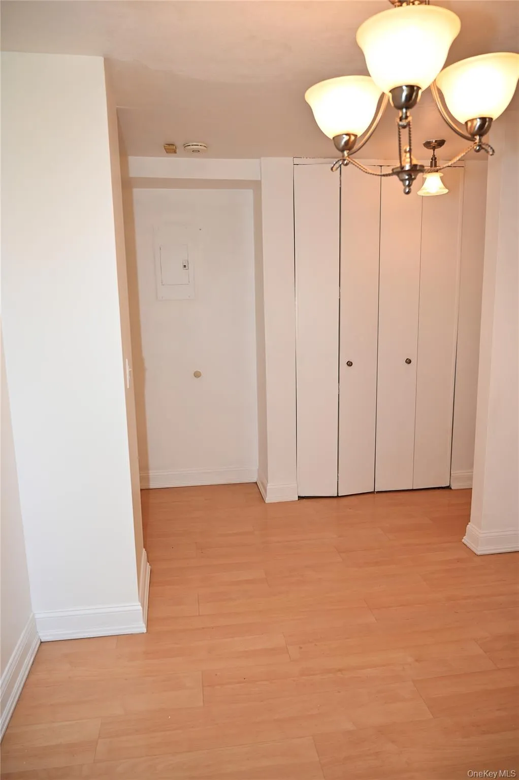 13-21 Michael Court, New York, NY, 1 Bedroom Bedrooms, 4 Rooms Rooms,1 BathroomBathrooms,Residential,For Rent,Michael,0,1014926 13-21 Michael Court, New York, NY, 1 Bedroom Bedrooms, 4 Rooms Rooms,1 BathroomBathrooms,Residential,For Rent,Michael,0,1014926