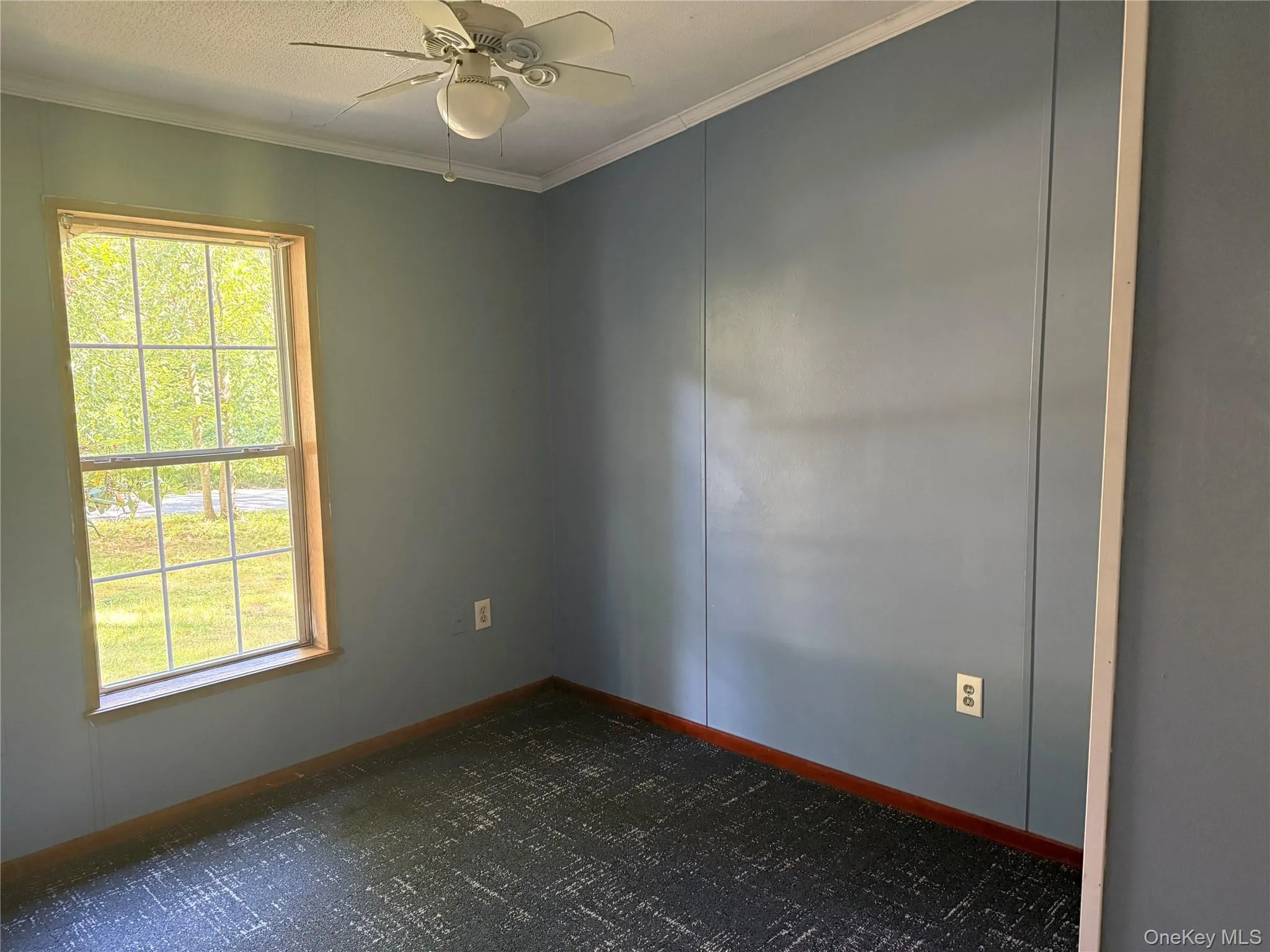 Spare room with ornamental molding and ceiling fan Spare room with ornamental molding and ceiling fan