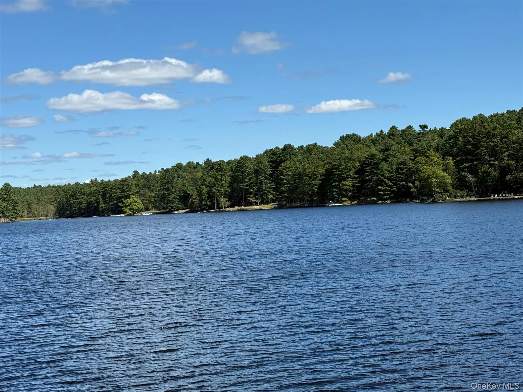 Water view featuring a forest Water view featuring a forest