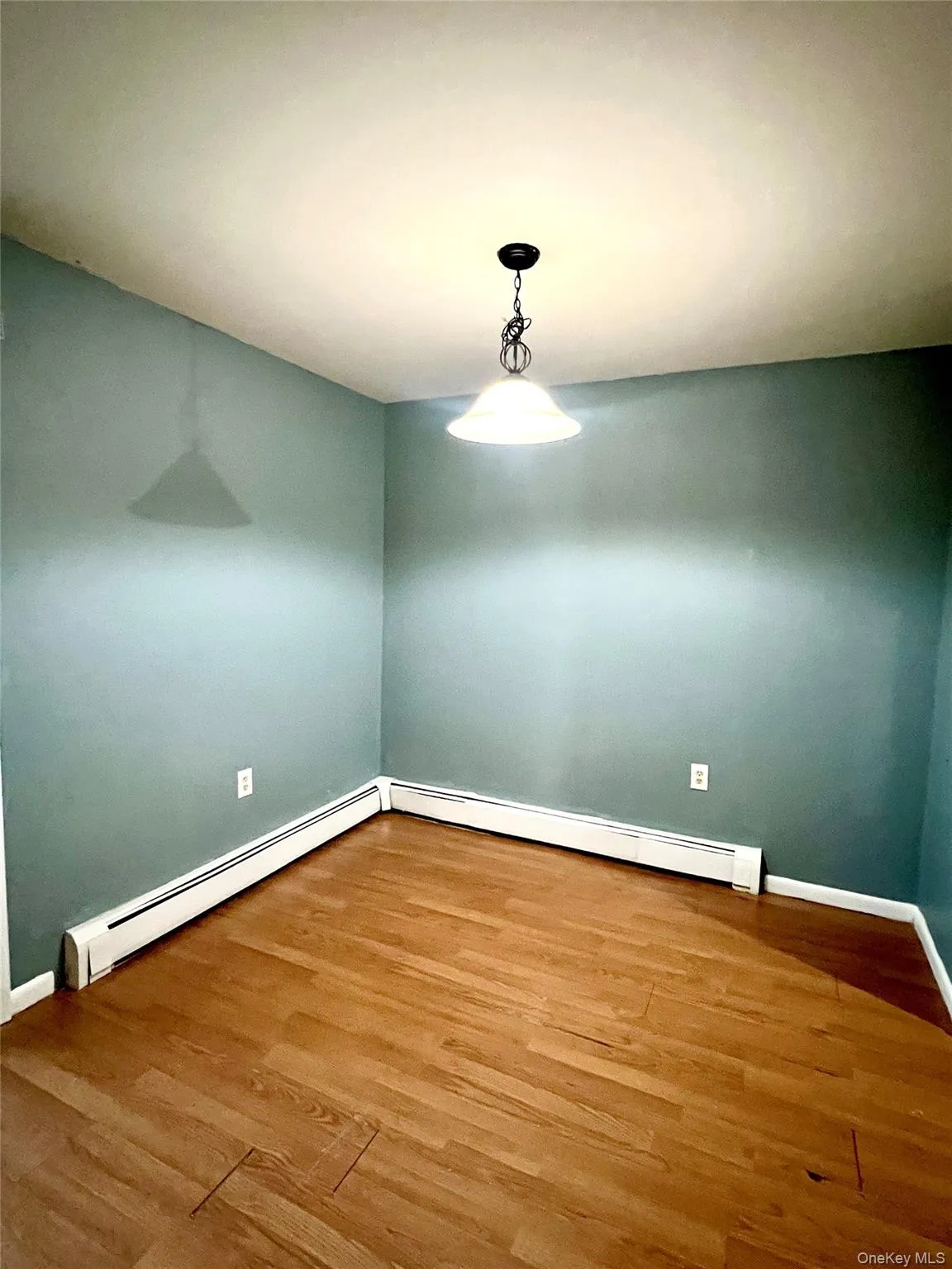 Spare room featuring a baseboard heating unit and wood finished floors Spare room featuring a baseboard heating unit and wood finished floors