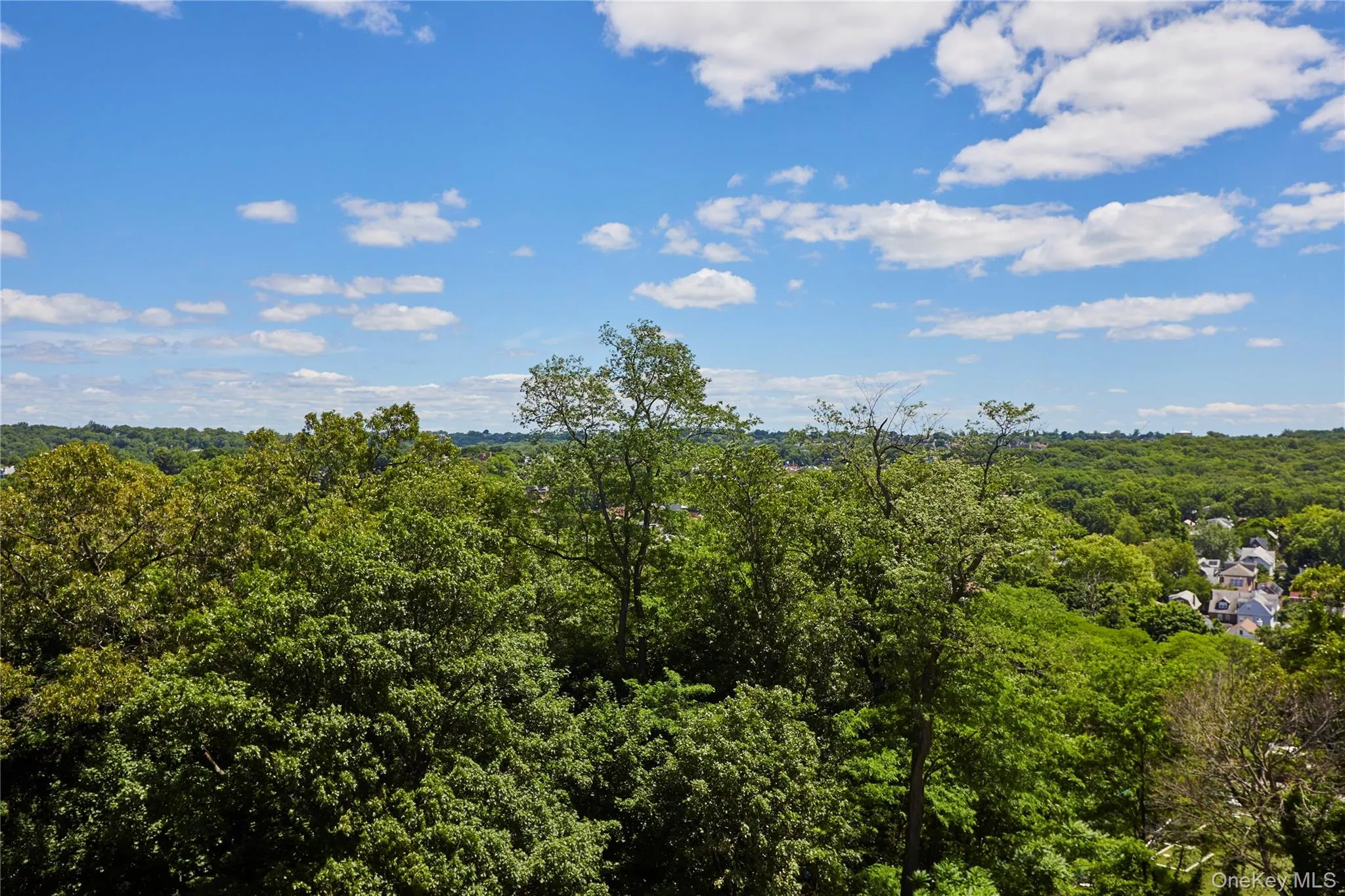 5900 Arlington Avenue, New York, NY, 3 Bedrooms Bedrooms, 6 Rooms Rooms,2 BathroomsBathrooms,Residential,For Rent,Arlington,0,1015020 5900 Arlington Avenue, New York, NY, 3 Bedrooms Bedrooms, 6 Rooms Rooms,2 BathroomsBathrooms,Residential,For Rent,Arlington,0,1015020