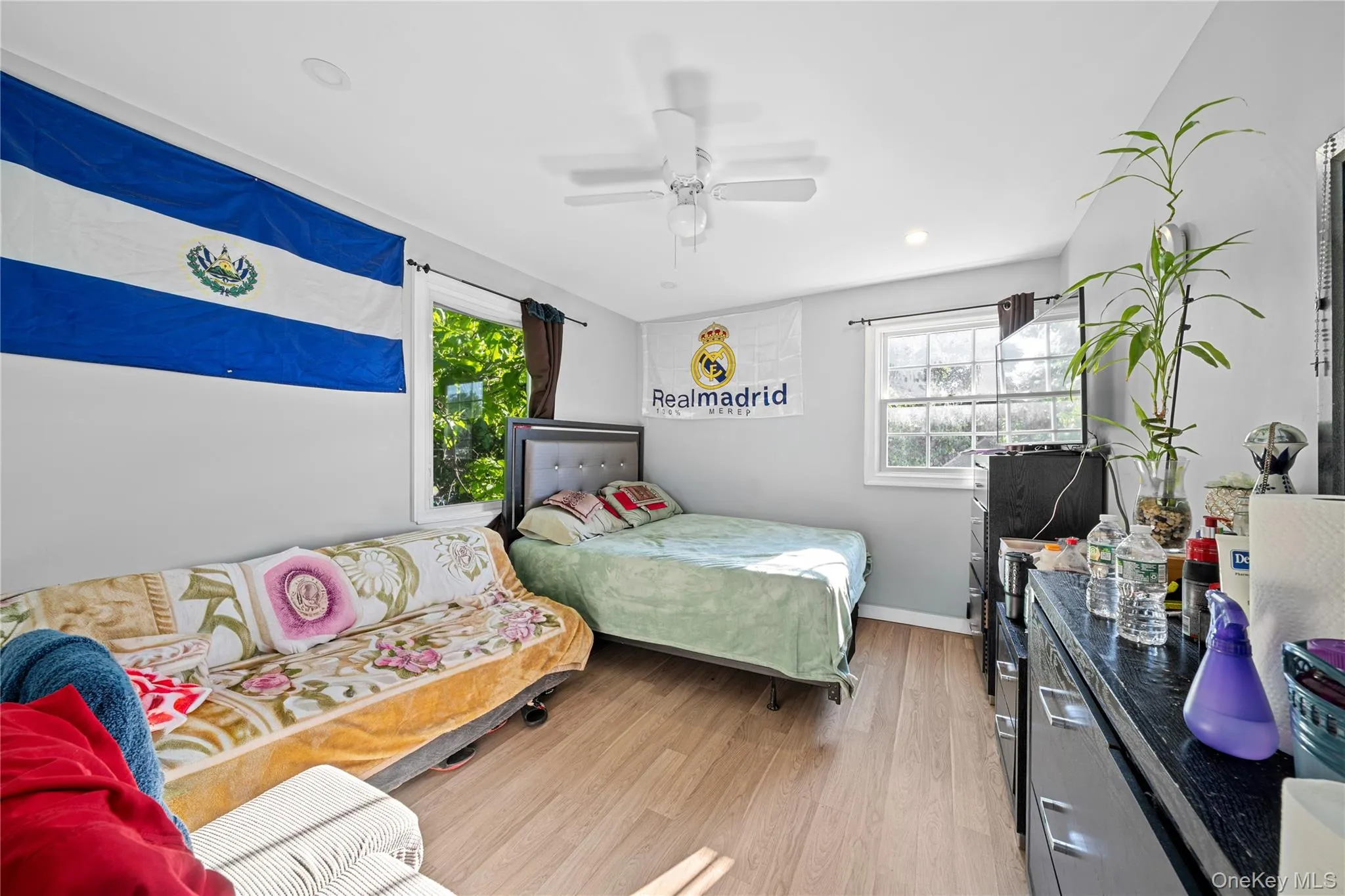 244 Sheridan Street, North Hempstead, NY, 6 Bedrooms Bedrooms, 11 Rooms Rooms,2 BathroomsBathrooms,Residential,For Rent,Sheridan,0,1015026 244 Sheridan Street, North Hempstead, NY, 6 Bedrooms Bedrooms, 11 Rooms Rooms,2 BathroomsBathrooms,Residential,For Rent,Sheridan,0,1015026