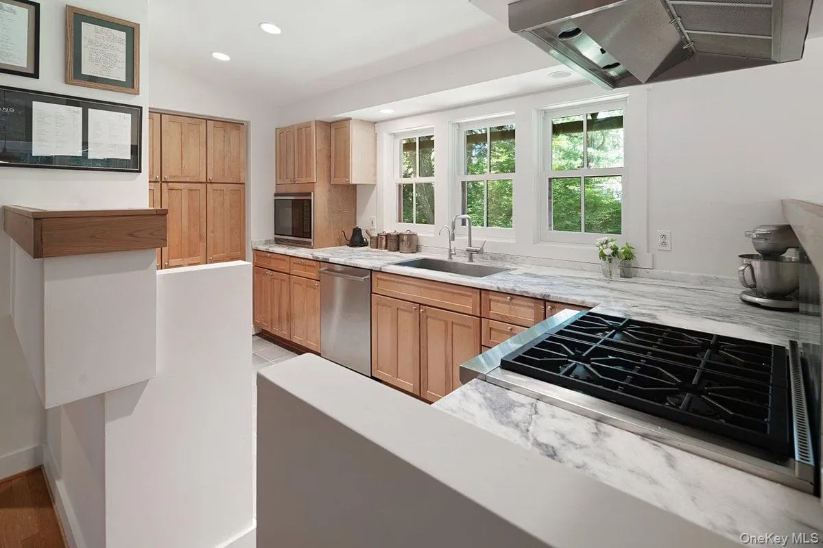 View into the chef's kitchen featuring a wall of windows above the sink, custom wood cabinets, stainless steel appliances, and quartz countertops. View into the chef's kitchen featuring a wall of windows above the sink, custom wood cabinets, stainless steel appliances, and quartz countertops.