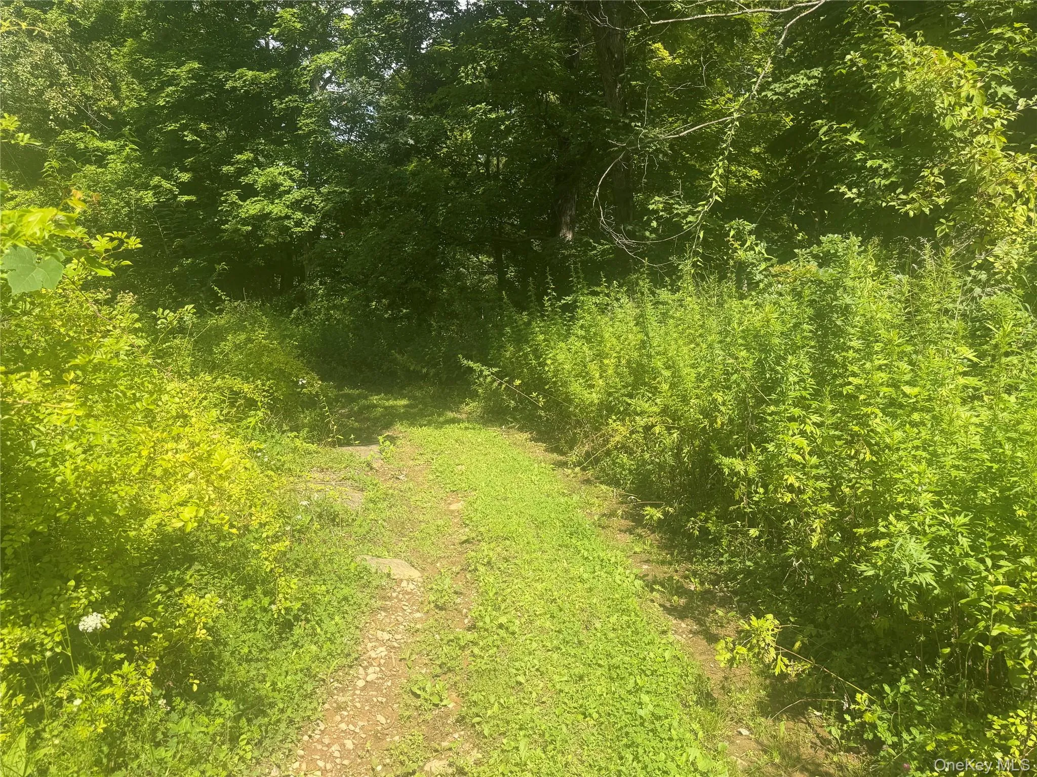 Walking path Walking path