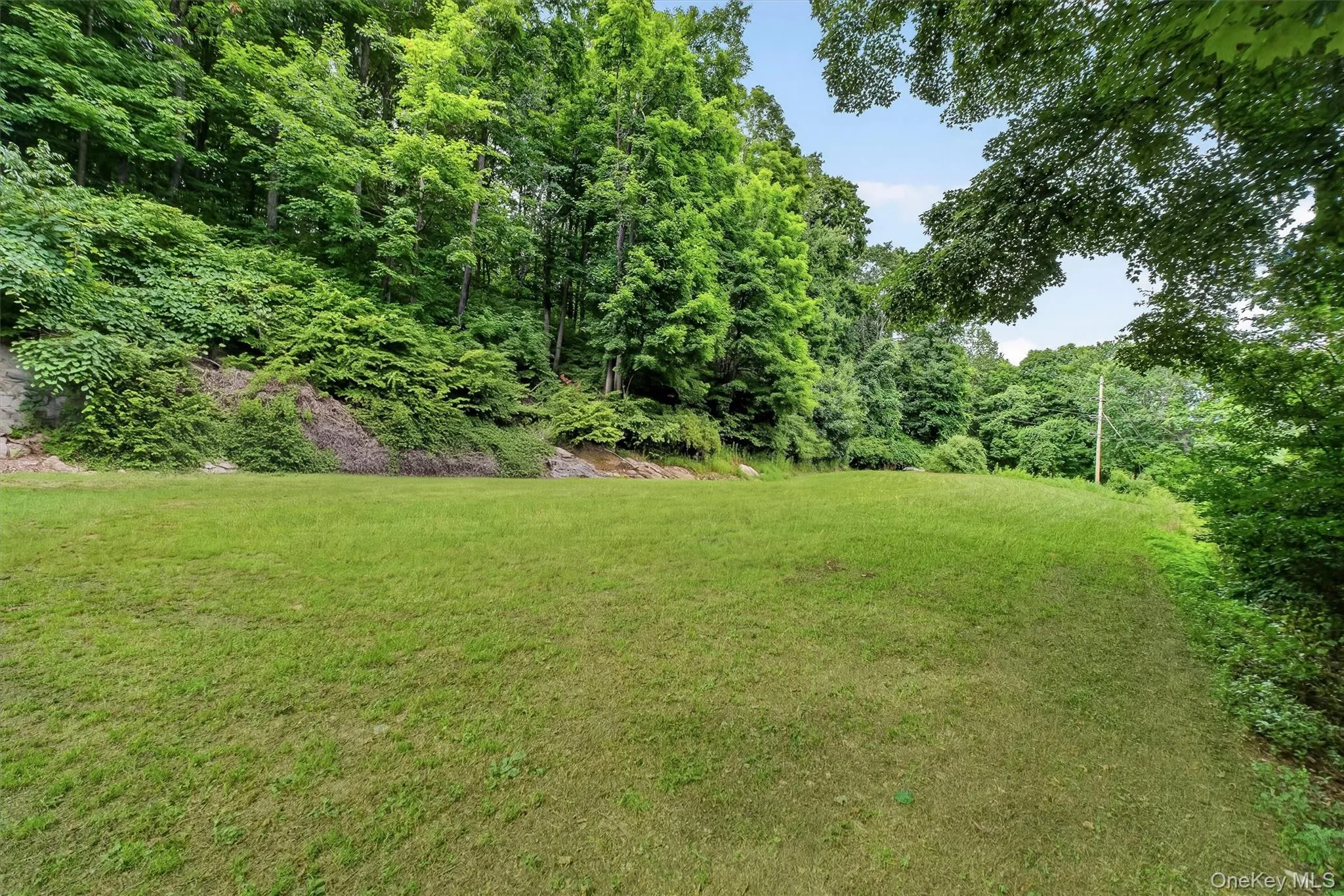 Large flat yard Large flat yard