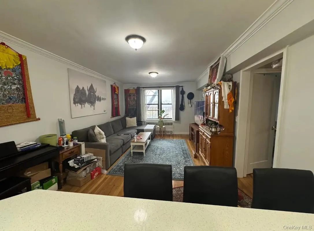 Living room featuring ornamental molding, light wood-style floors, and radiator Living room featuring ornamental molding, light wood-style floors, and radiator