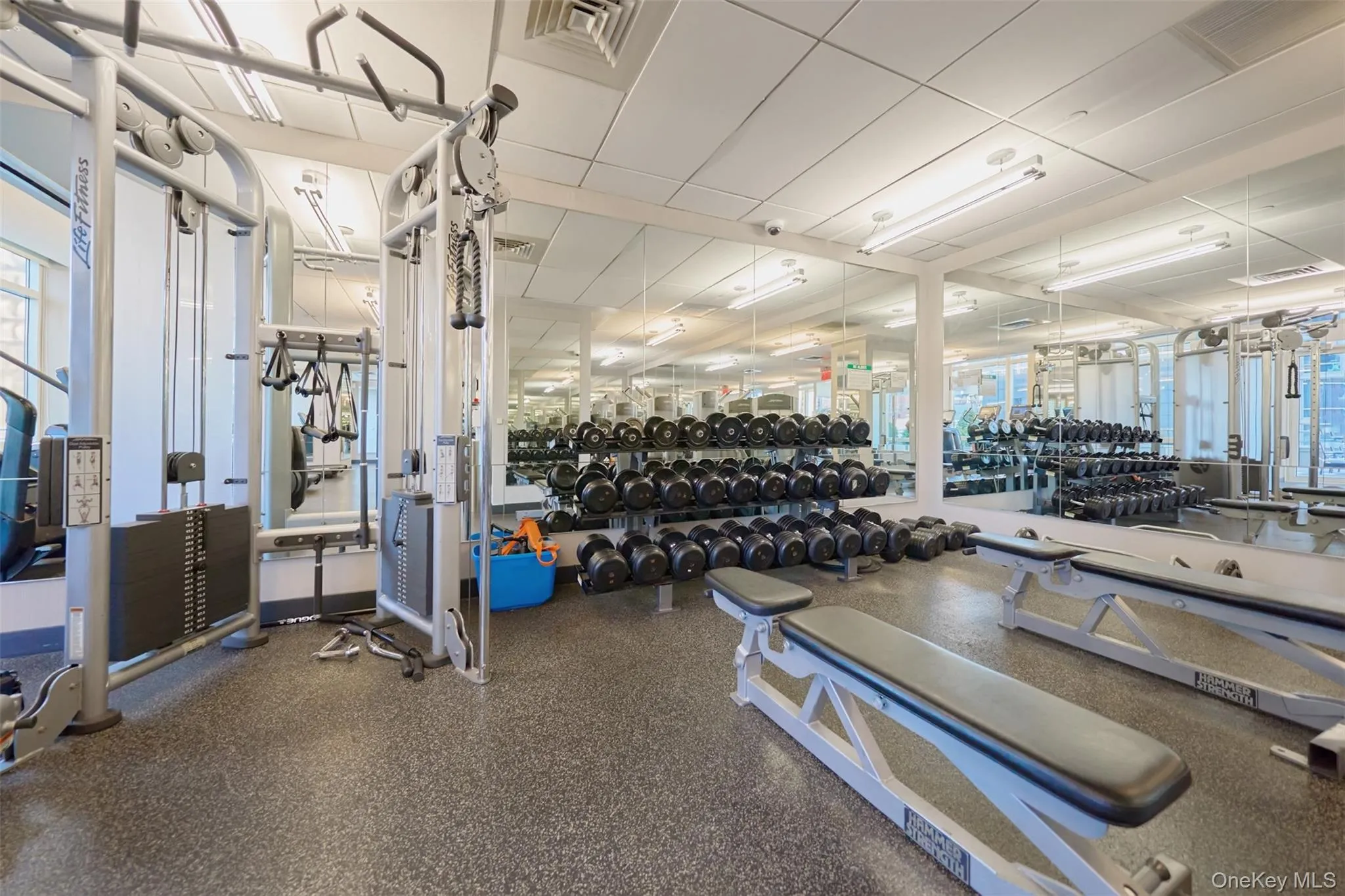 247 46th Street, New York, NY, 1 Bedroom Bedrooms, 2 Rooms Rooms,1 BathroomBathrooms,Residential,For Rent,46th,0,KEY1015119 247 46th Street, New York, NY, 1 Bedroom Bedrooms, 2 Rooms Rooms,1 BathroomBathrooms,Residential,For Rent,46th,0,KEY1015119