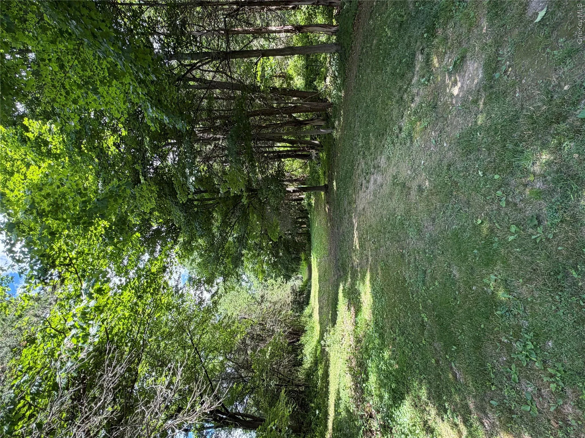 Rt-199, Pine Plains, NY, ,Land,For Rent,Rt-199,0,1015122 Rt-199, Pine Plains, NY, ,Land,For Rent,Rt-199,0,1015122