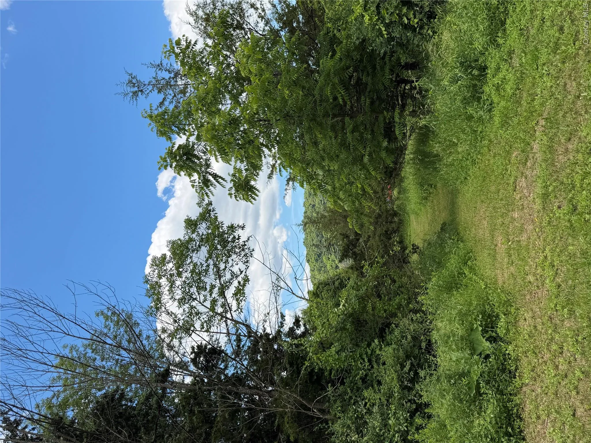 Rt-199, Pine Plains, NY, ,Land,For Rent,Rt-199,0,1015122 Rt-199, Pine Plains, NY, ,Land,For Rent,Rt-199,0,1015122