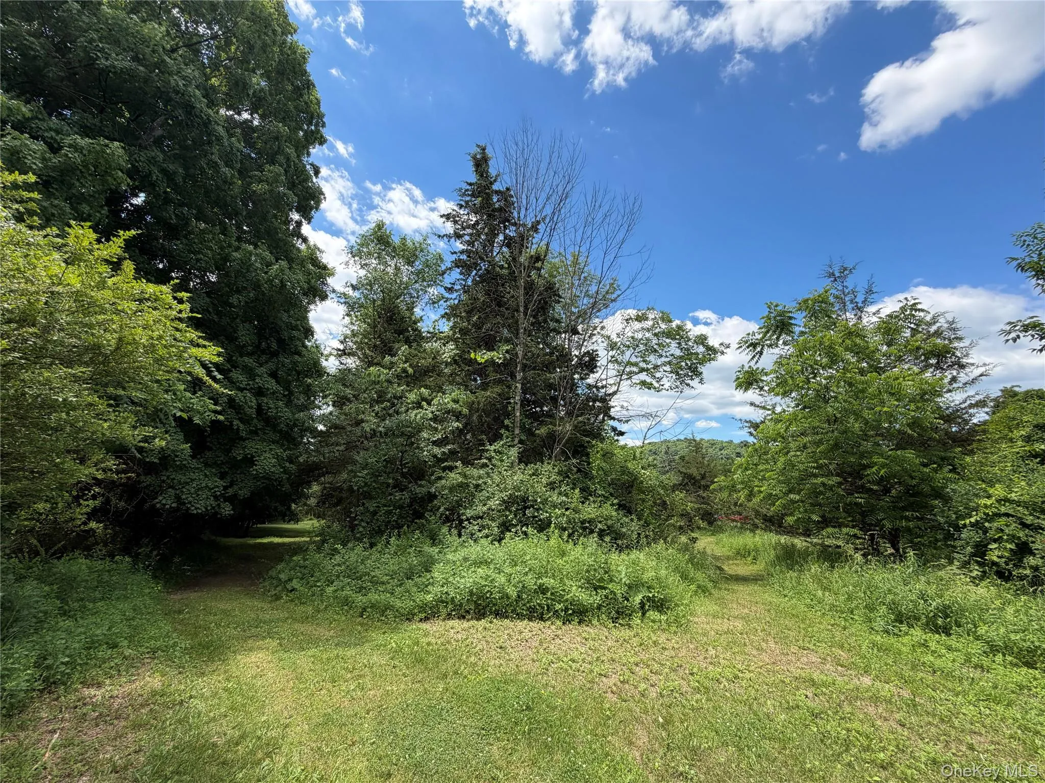 Rt-199, Pine Plains, NY, ,Land,For Rent,Rt-199,0,1015122 Rt-199, Pine Plains, NY, ,Land,For Rent,Rt-199,0,1015122