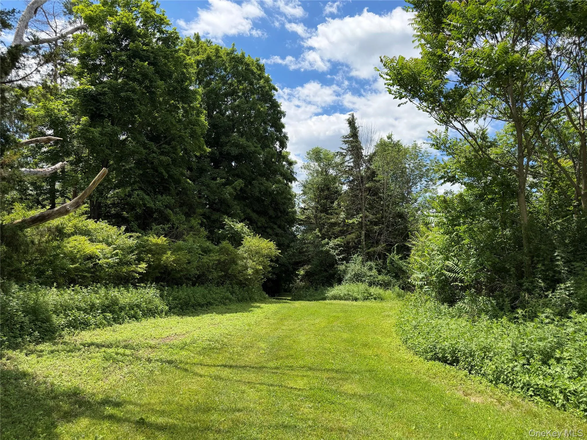 Rt-199, Pine Plains, NY, ,Land,For Rent,Rt-199,0,1015122 Rt-199, Pine Plains, NY, ,Land,For Rent,Rt-199,0,1015122