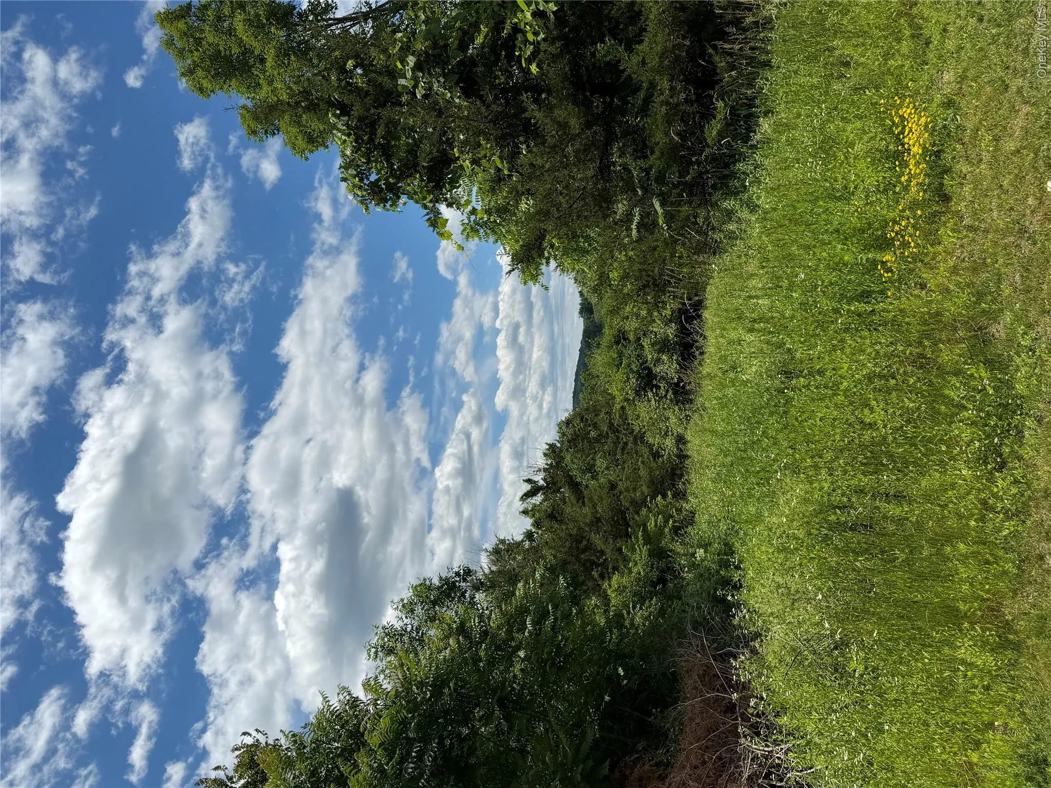 Rt-199, Pine Plains, NY, ,Land,For Rent,Rt-199,0,1015122 Rt-199, Pine Plains, NY, ,Land,For Rent,Rt-199,0,1015122