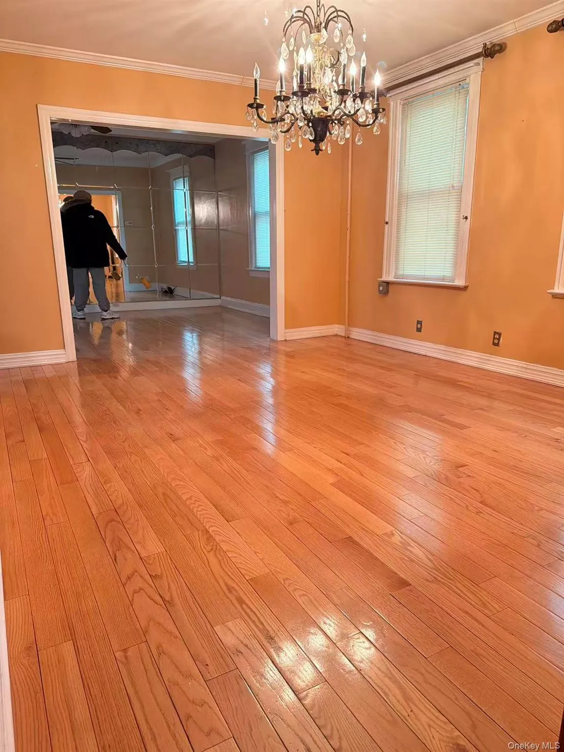10117 46th Avenue, New York, NY, 5 Bedrooms Bedrooms, 10 Rooms Rooms,3 BathroomsBathrooms,Residential,For Rent,46th,0,1015125 10117 46th Avenue, New York, NY, 5 Bedrooms Bedrooms, 10 Rooms Rooms,3 BathroomsBathrooms,Residential,For Rent,46th,0,1015125