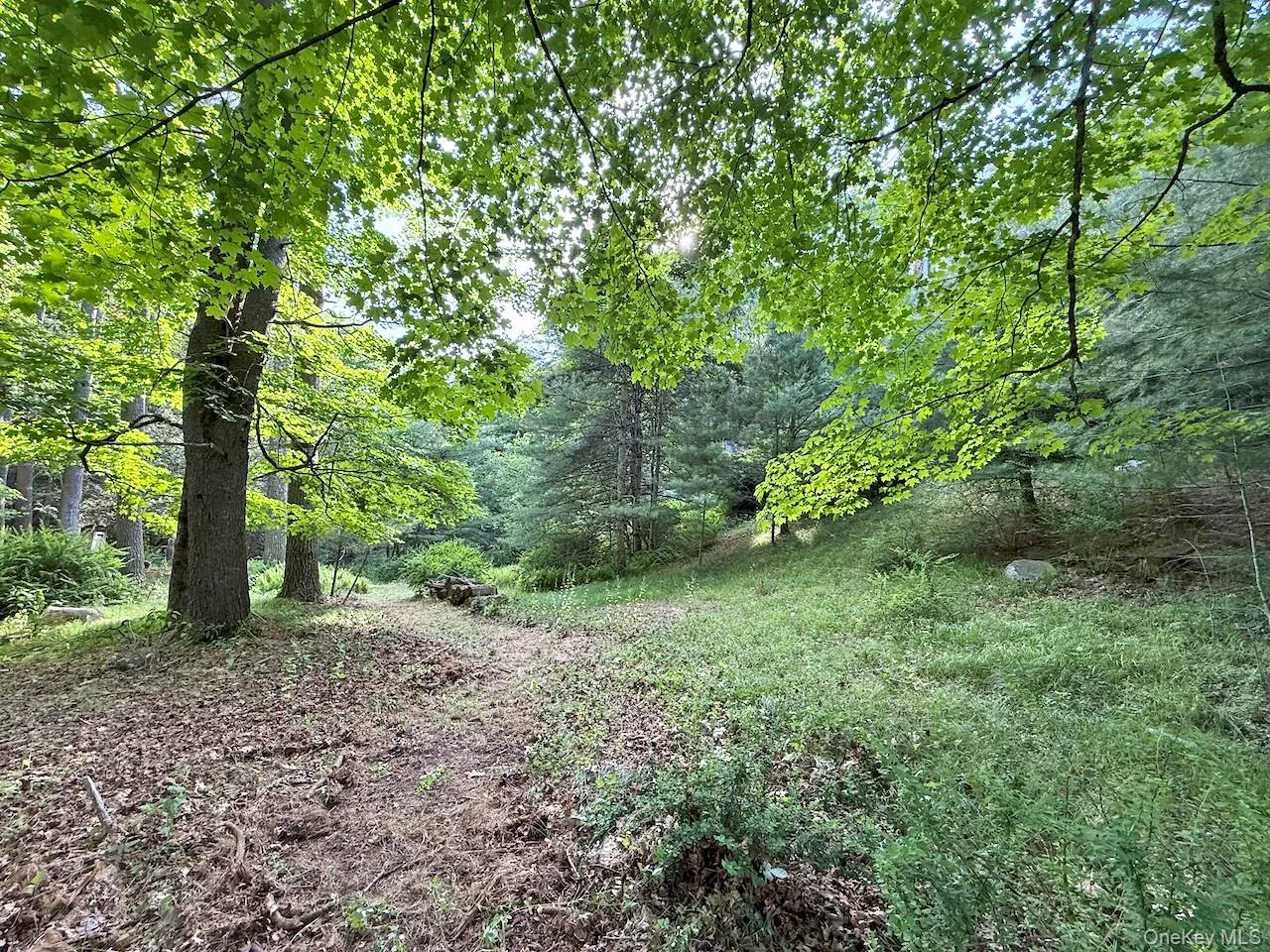 11 Nordic Drive, Woodstock, NY, 2 Bedrooms Bedrooms, 7 Rooms Rooms,2 BathroomsBathrooms,Residential,For Rent,Nordic,0,1015129 11 Nordic Drive, Woodstock, NY, 2 Bedrooms Bedrooms, 7 Rooms Rooms,2 BathroomsBathrooms,Residential,For Rent,Nordic,0,1015129