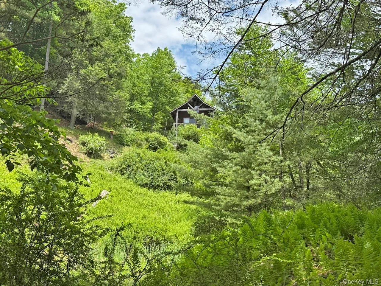 11 Nordic Drive, Woodstock, NY, 2 Bedrooms Bedrooms, 7 Rooms Rooms,2 BathroomsBathrooms,Residential,For Rent,Nordic,0,1015129 11 Nordic Drive, Woodstock, NY, 2 Bedrooms Bedrooms, 7 Rooms Rooms,2 BathroomsBathrooms,Residential,For Rent,Nordic,0,1015129