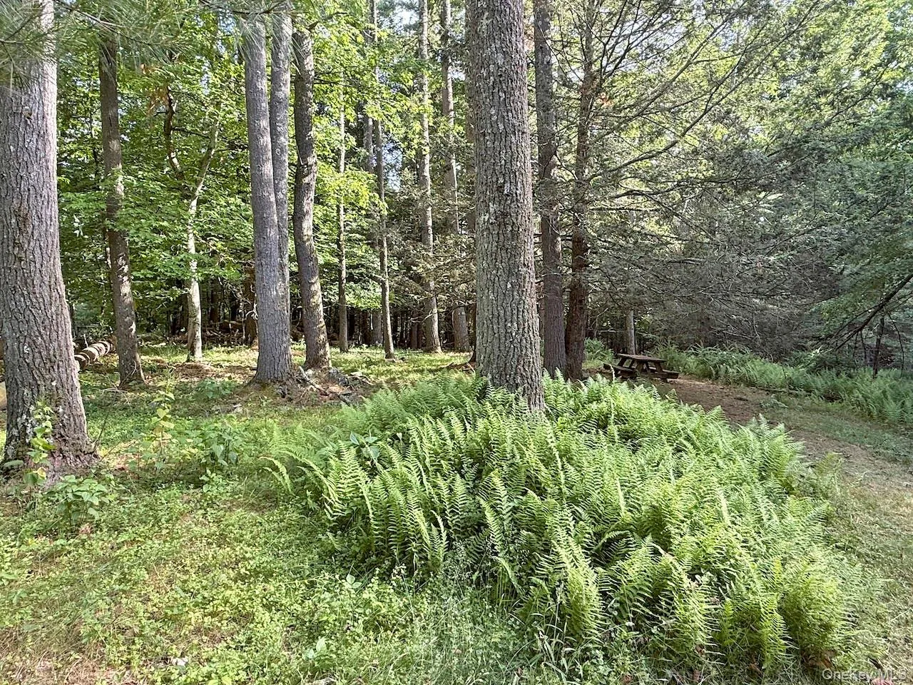 11 Nordic Drive, Woodstock, NY, 2 Bedrooms Bedrooms, 7 Rooms Rooms,2 BathroomsBathrooms,Residential,For Rent,Nordic,0,1015129 11 Nordic Drive, Woodstock, NY, 2 Bedrooms Bedrooms, 7 Rooms Rooms,2 BathroomsBathrooms,Residential,For Rent,Nordic,0,1015129