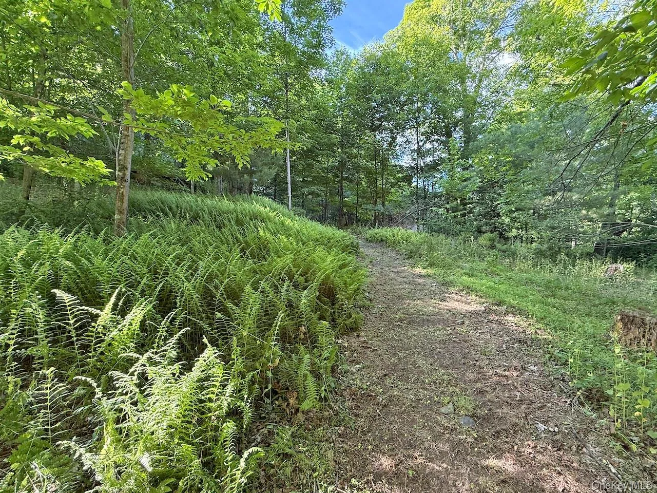 11 Nordic Drive, Woodstock, NY, 2 Bedrooms Bedrooms, 7 Rooms Rooms,2 BathroomsBathrooms,Residential,For Rent,Nordic,0,1015129 11 Nordic Drive, Woodstock, NY, 2 Bedrooms Bedrooms, 7 Rooms Rooms,2 BathroomsBathrooms,Residential,For Rent,Nordic,0,1015129