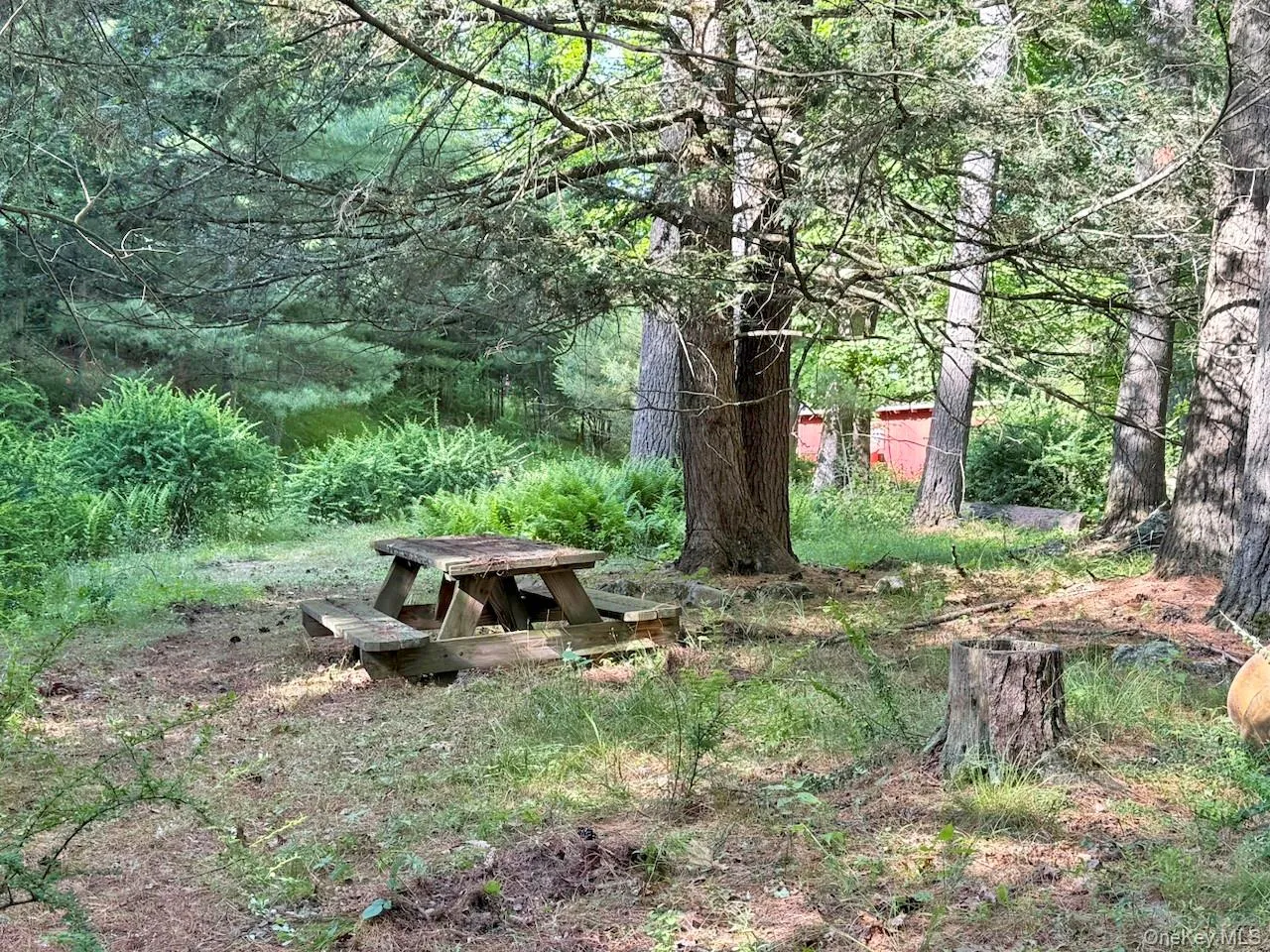 11 Nordic Drive, Woodstock, NY, 2 Bedrooms Bedrooms, 7 Rooms Rooms,2 BathroomsBathrooms,Residential,For Rent,Nordic,0,1015129 11 Nordic Drive, Woodstock, NY, 2 Bedrooms Bedrooms, 7 Rooms Rooms,2 BathroomsBathrooms,Residential,For Rent,Nordic,0,1015129