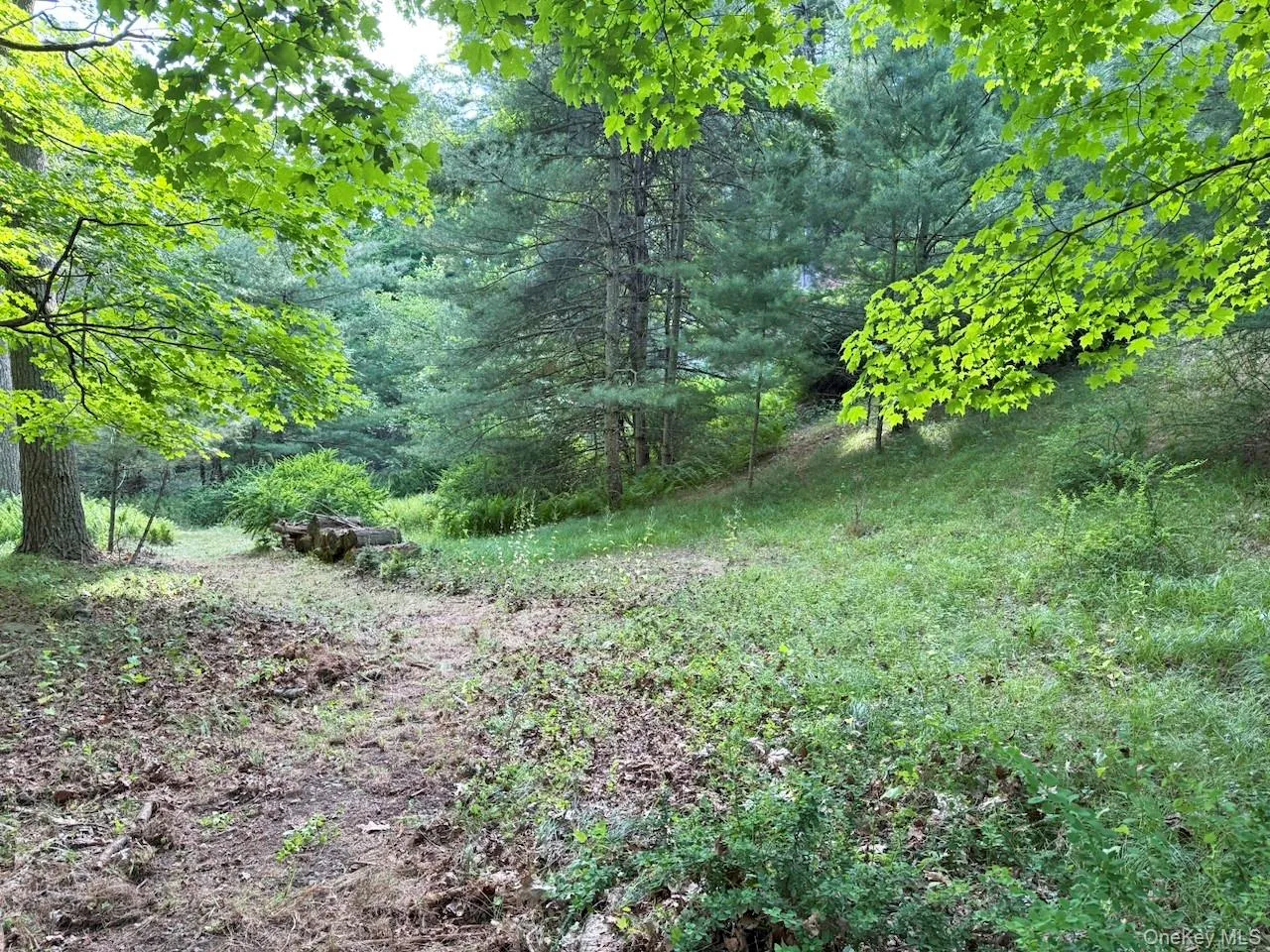 11 Nordic Drive, Woodstock, NY, 2 Bedrooms Bedrooms, 7 Rooms Rooms,2 BathroomsBathrooms,Residential,For Rent,Nordic,0,1015129 11 Nordic Drive, Woodstock, NY, 2 Bedrooms Bedrooms, 7 Rooms Rooms,2 BathroomsBathrooms,Residential,For Rent,Nordic,0,1015129