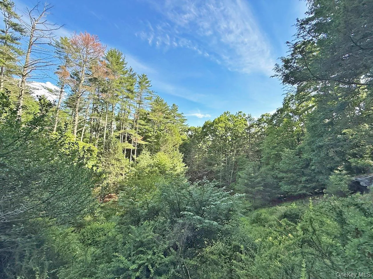 11 Nordic Drive, Woodstock, NY, 2 Bedrooms Bedrooms, 7 Rooms Rooms,2 BathroomsBathrooms,Residential,For Rent,Nordic,0,1015129 11 Nordic Drive, Woodstock, NY, 2 Bedrooms Bedrooms, 7 Rooms Rooms,2 BathroomsBathrooms,Residential,For Rent,Nordic,0,1015129