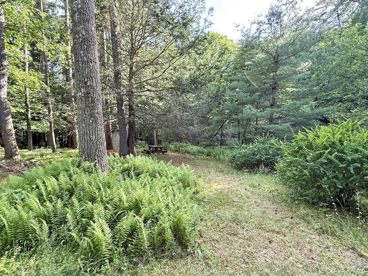 11 Nordic Drive, Woodstock, NY, 2 Bedrooms Bedrooms, 7 Rooms Rooms,2 BathroomsBathrooms,Residential,For Rent,Nordic,0,1015129 11 Nordic Drive, Woodstock, NY, 2 Bedrooms Bedrooms, 7 Rooms Rooms,2 BathroomsBathrooms,Residential,For Rent,Nordic,0,1015129