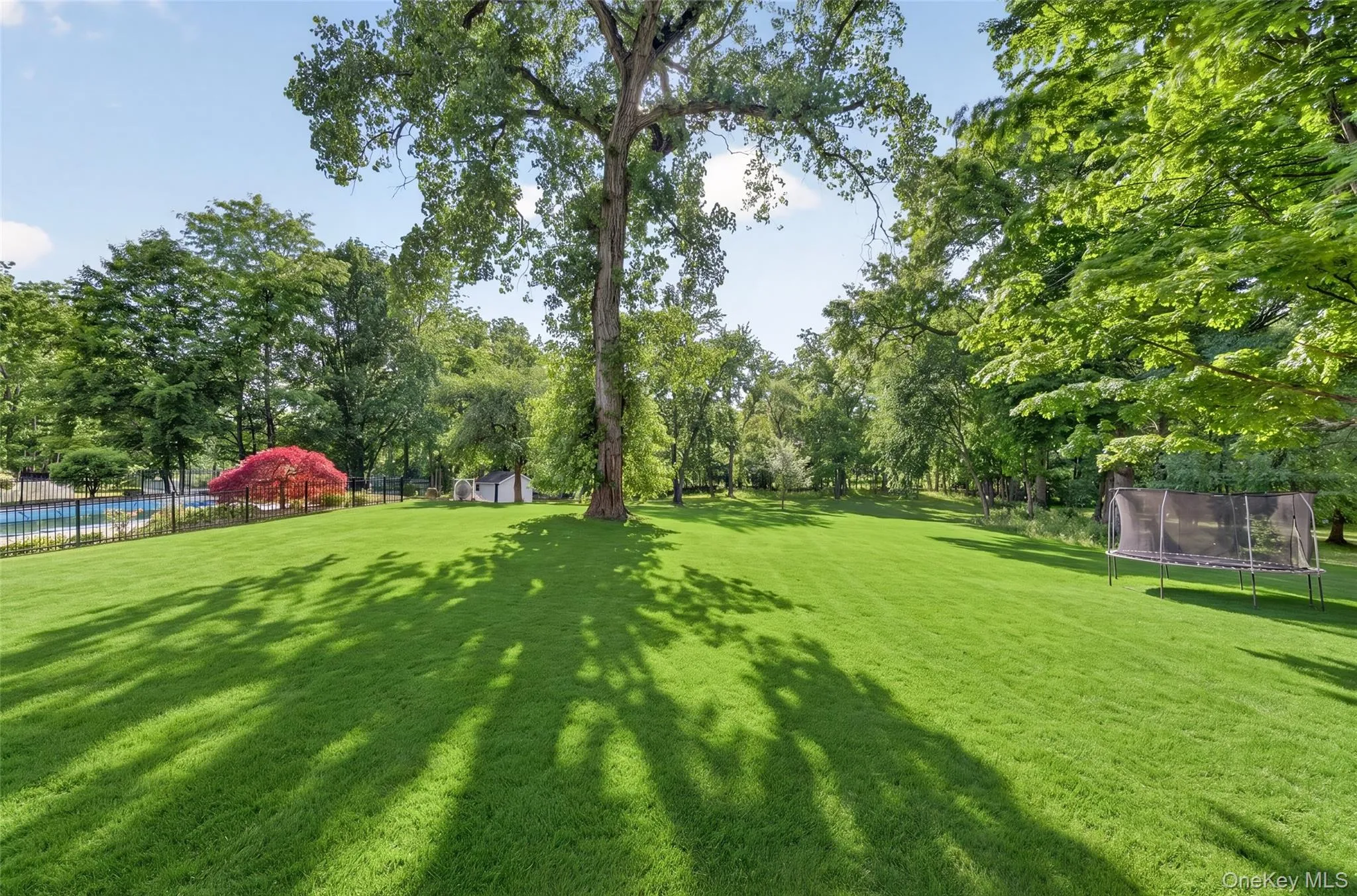 48 South Street, Goshen, NY, 6 Bedrooms Bedrooms, 14 Rooms Rooms,4 BathroomsBathrooms,Residential,For Rent,South,0,1015144 48 South Street, Goshen, NY, 6 Bedrooms Bedrooms, 14 Rooms Rooms,4 BathroomsBathrooms,Residential,For Rent,South,0,1015144