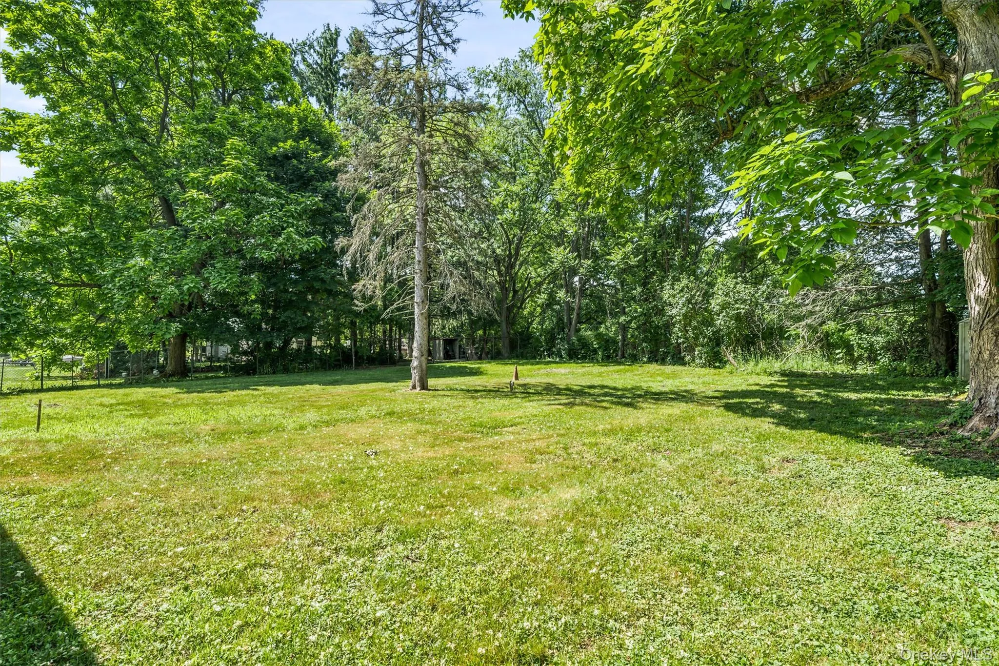 Beautiful Back Yard Beautiful Back Yard