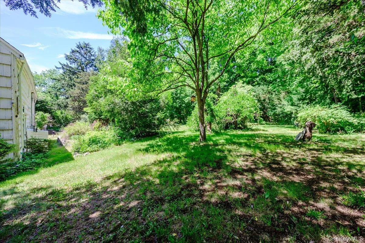 Backyard Backyard