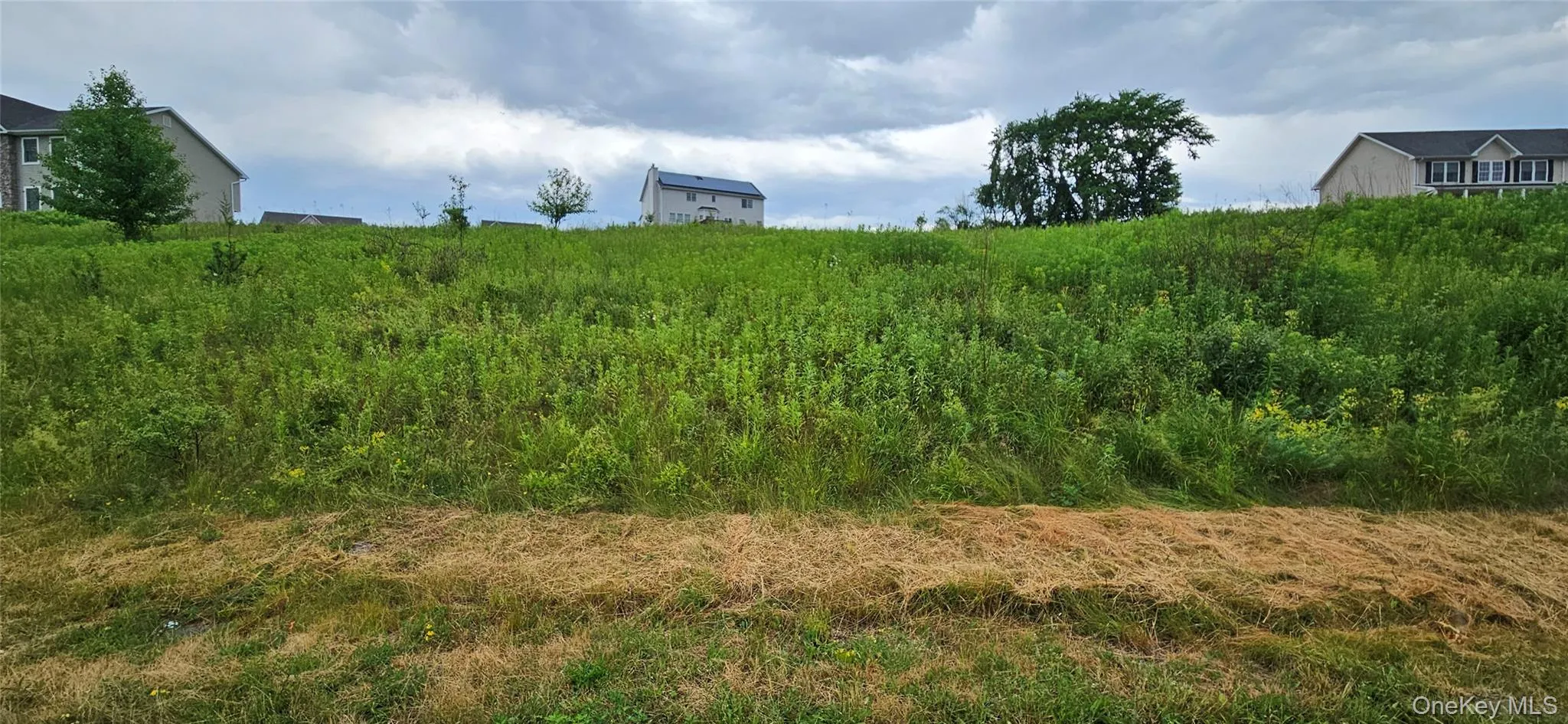 14 Trotter Lane, New Windsor, NY, 4 Bedrooms Bedrooms, 10 Rooms Rooms,2 BathroomsBathrooms,Residential,For Rent,Trotter,0,KEY1015197 14 Trotter Lane, New Windsor, NY, 4 Bedrooms Bedrooms, 10 Rooms Rooms,2 BathroomsBathrooms,Residential,For Rent,Trotter,0,KEY1015197