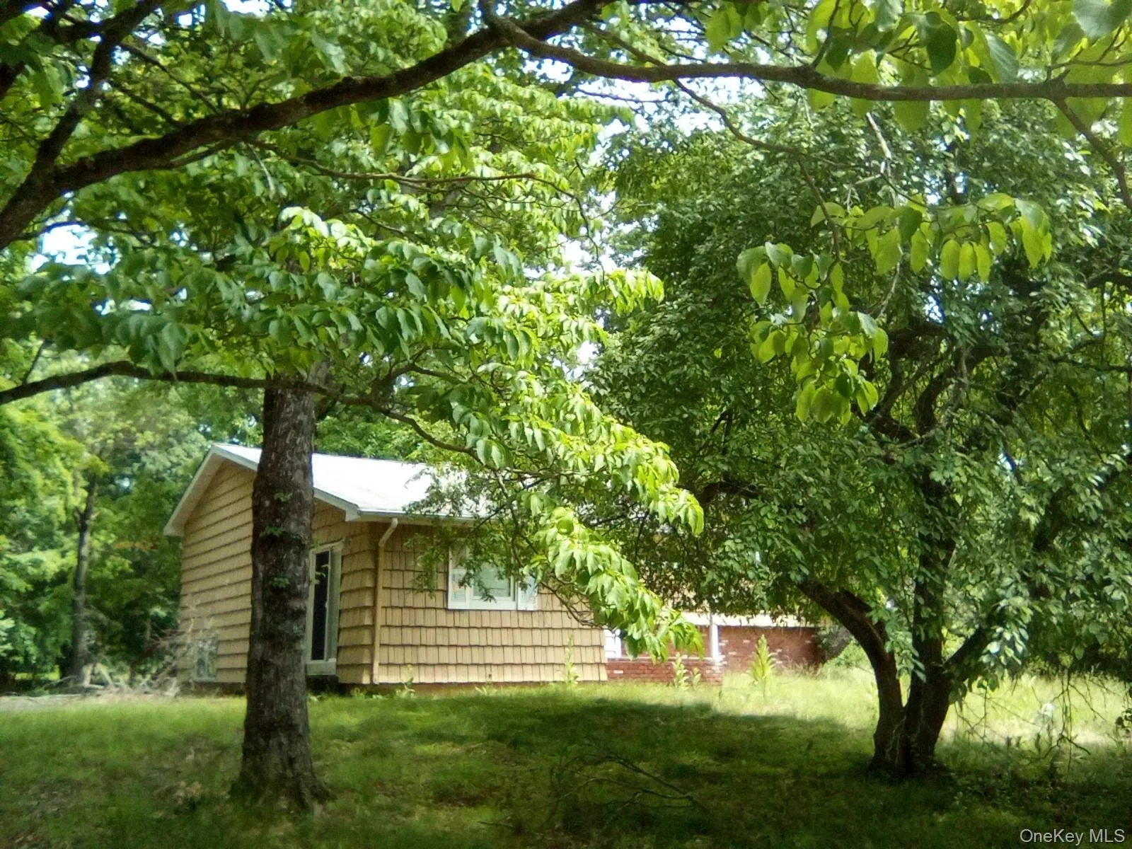 5 Flamingo Lane, Ramapo, NY, 3 Bedrooms Bedrooms, 8 Rooms Rooms,2 BathroomsBathrooms,Residential,For Rent,Flamingo,0,1015201 5 Flamingo Lane, Ramapo, NY, 3 Bedrooms Bedrooms, 8 Rooms Rooms,2 BathroomsBathrooms,Residential,For Rent,Flamingo,0,1015201