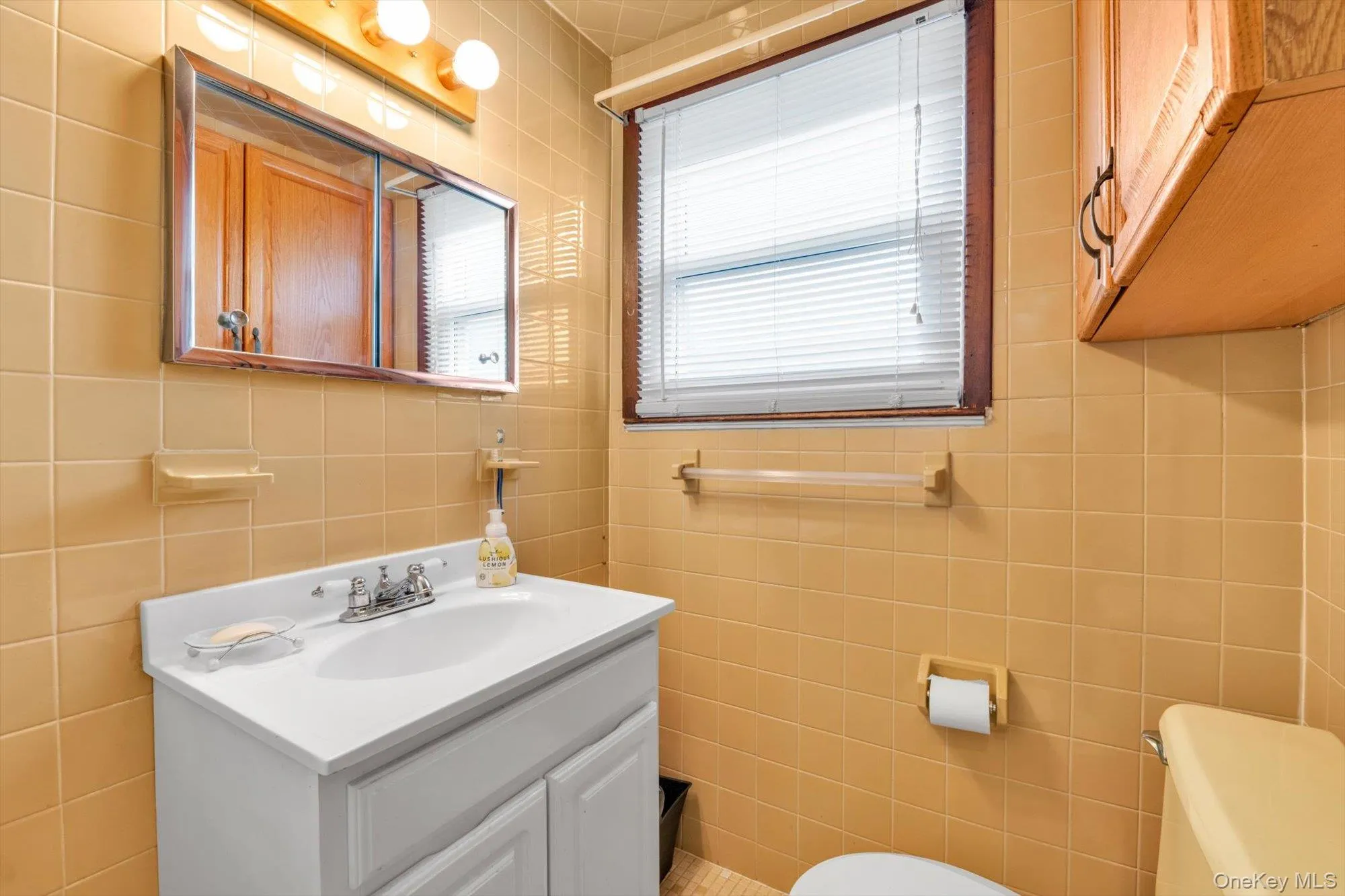 1389 B Street, Hempstead, NY, 3 Bedrooms Bedrooms, 8 Rooms Rooms,2 BathroomsBathrooms,Residential,For Rent,B,0,1015203 1389 B Street, Hempstead, NY, 3 Bedrooms Bedrooms, 8 Rooms Rooms,2 BathroomsBathrooms,Residential,For Rent,B,0,1015203