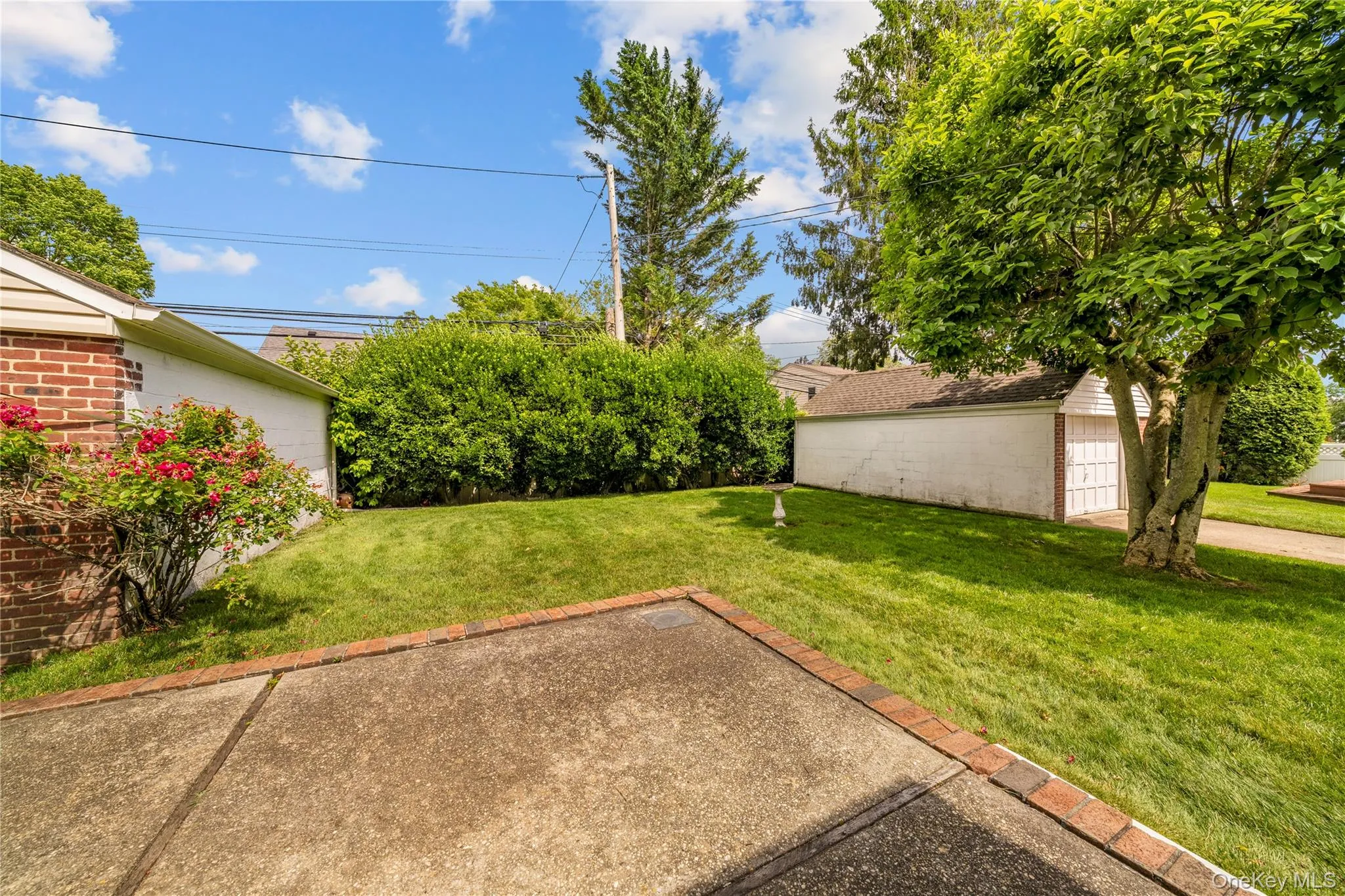 131 Primrose Drive, North Hempstead, NY, 3 Bedrooms Bedrooms, 5 Rooms Rooms,1 BathroomBathrooms,Residential,For Rent,Primrose,0,1015216 131 Primrose Drive, North Hempstead, NY, 3 Bedrooms Bedrooms, 5 Rooms Rooms,1 BathroomBathrooms,Residential,For Rent,Primrose,0,1015216