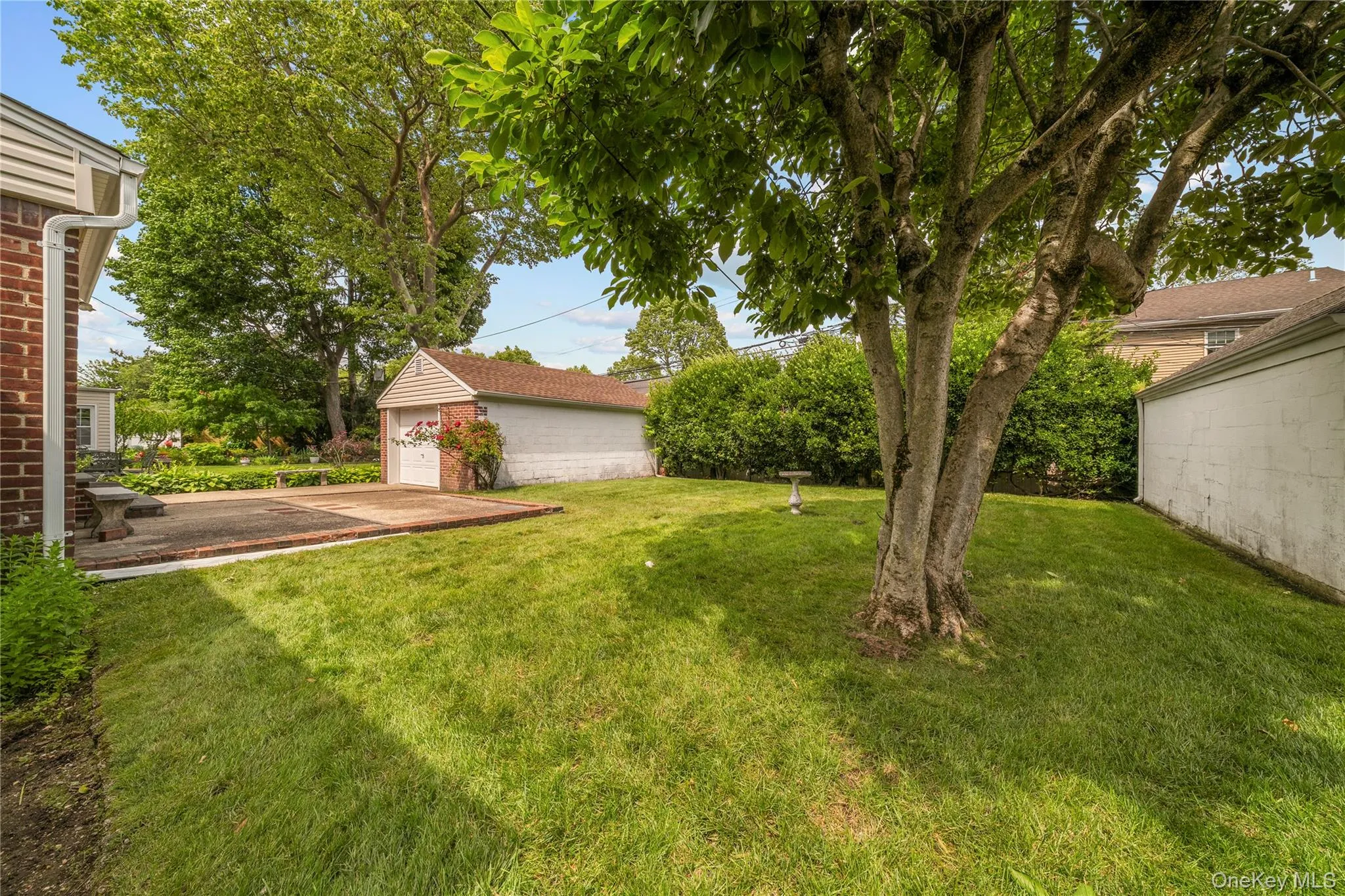 131 Primrose Drive, North Hempstead, NY, 3 Bedrooms Bedrooms, 5 Rooms Rooms,1 BathroomBathrooms,Residential,For Rent,Primrose,0,1015216 131 Primrose Drive, North Hempstead, NY, 3 Bedrooms Bedrooms, 5 Rooms Rooms,1 BathroomBathrooms,Residential,For Rent,Primrose,0,1015216