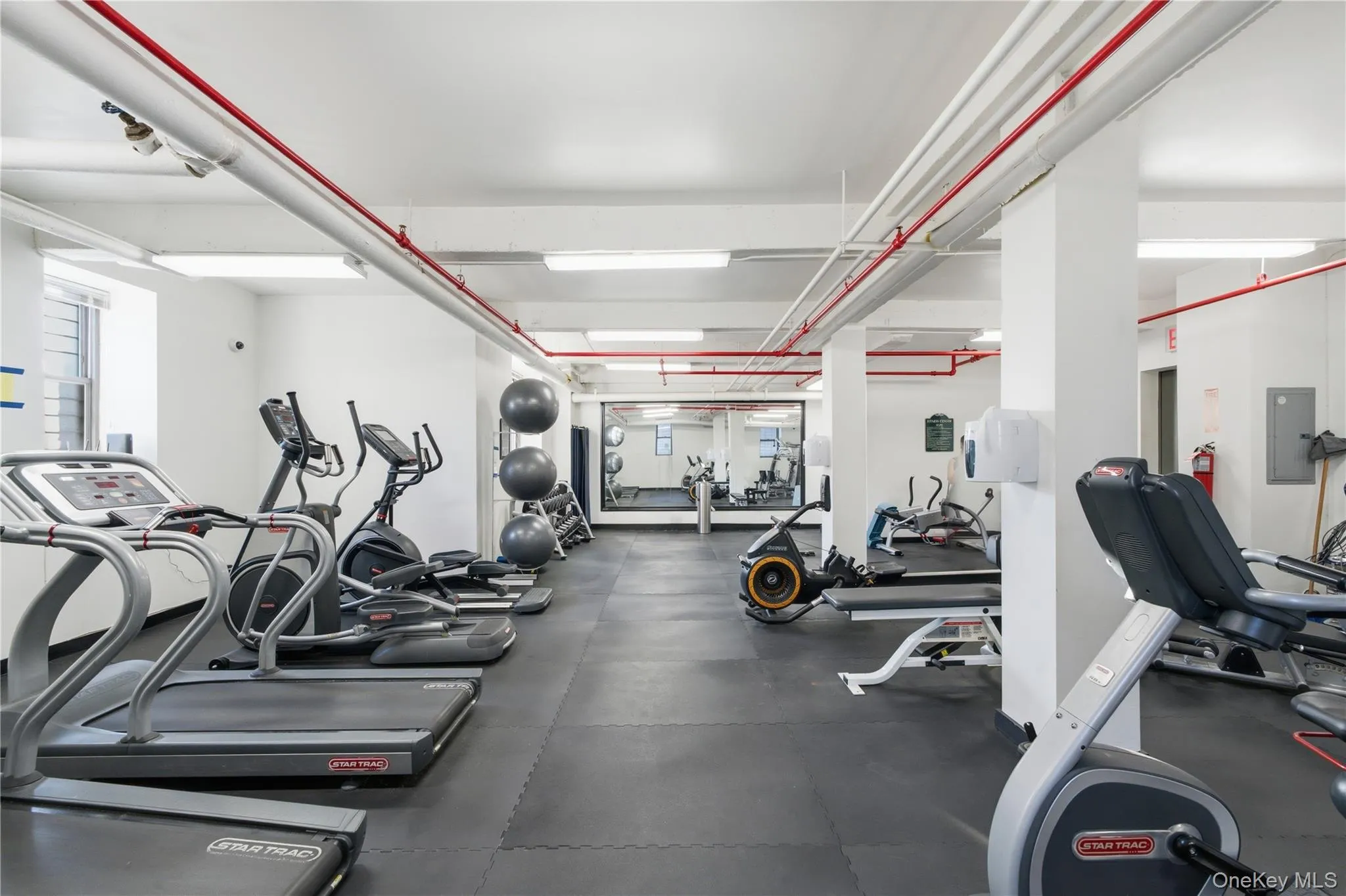 Gym Gym