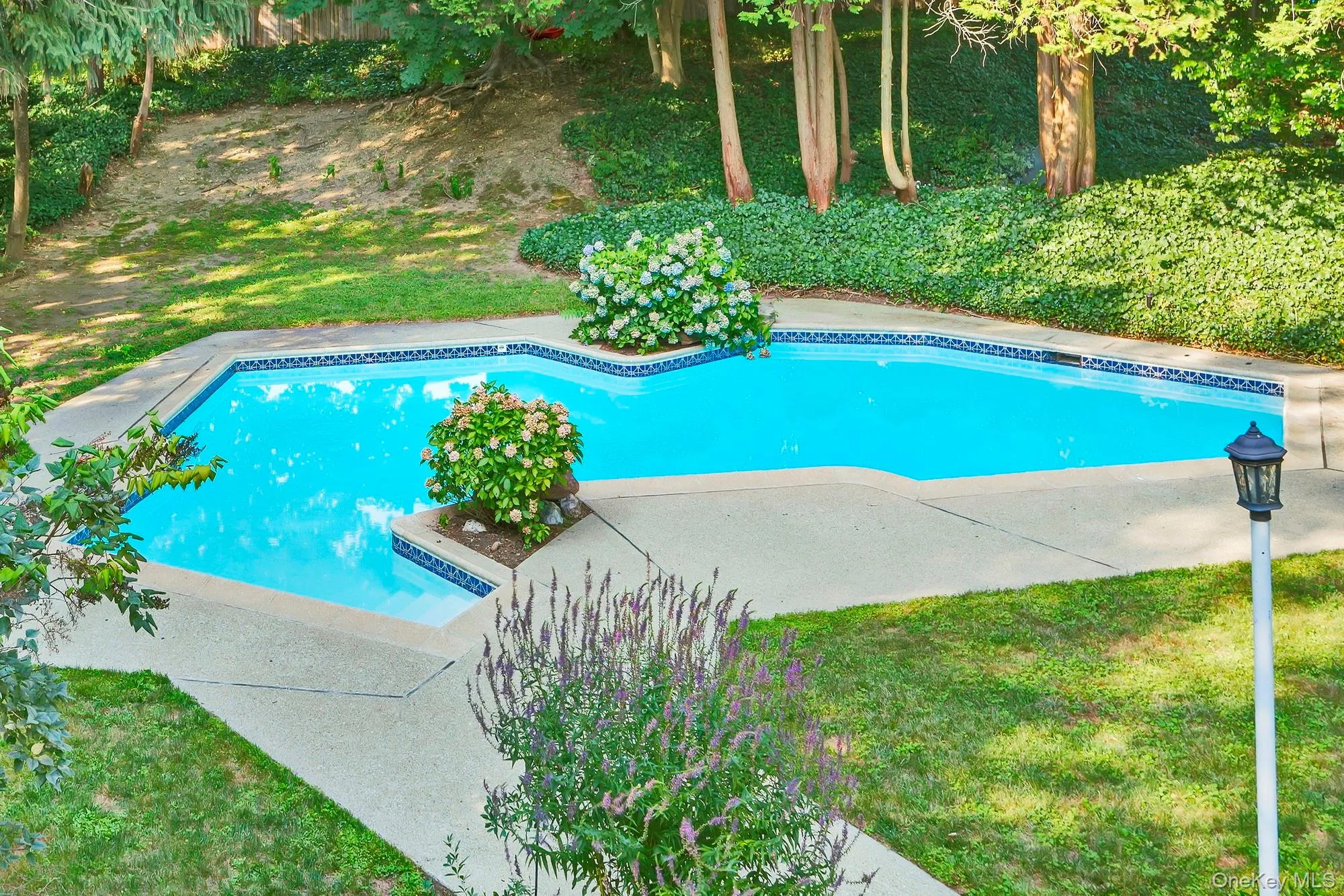 49 Henry Street, Scarsdale, NY, 4 Bedrooms Bedrooms, 7 Rooms Rooms,4 BathroomsBathrooms,Residential Lease,For Rent,Henry,0,1015259 49 Henry Street, Scarsdale, NY, 4 Bedrooms Bedrooms, 7 Rooms Rooms,4 BathroomsBathrooms,Residential Lease,For Rent,Henry,0,1015259