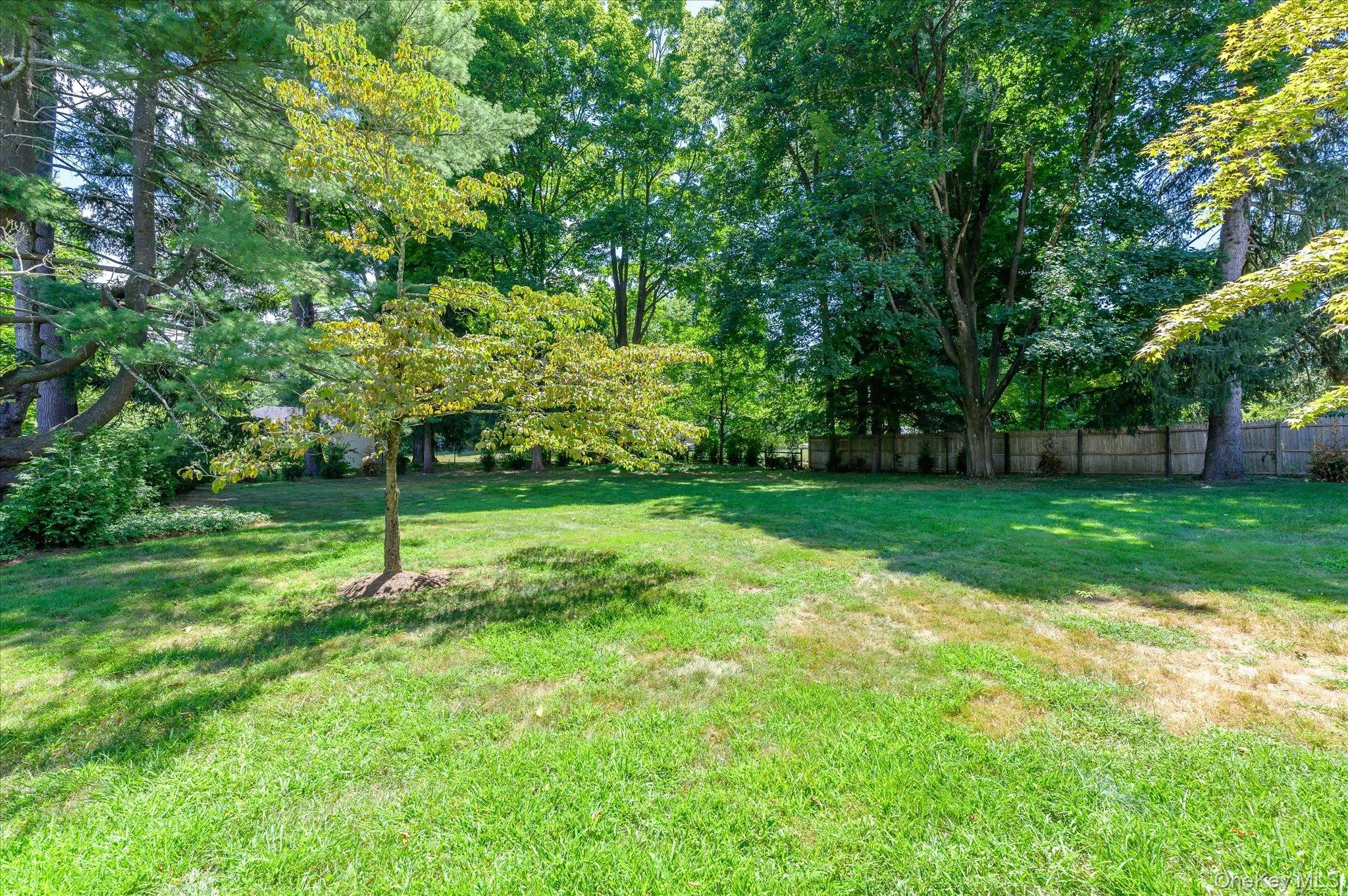 View of yard featuring view of wooded area View of yard featuring view of wooded area