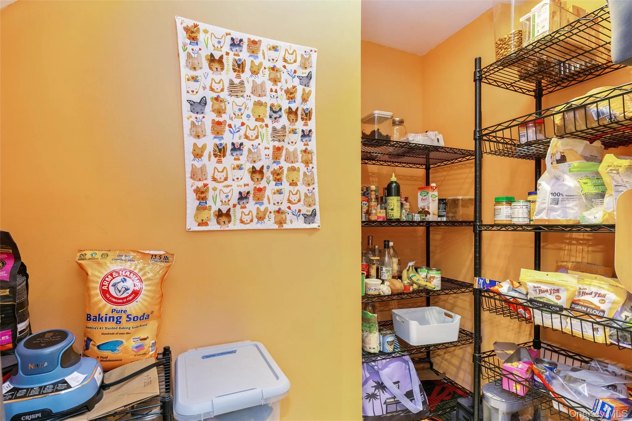 23 Eastwood Road, Brookhaven, NY, 3 Bedrooms Bedrooms, 7 Rooms Rooms,2 BathroomsBathrooms,Residential,For Rent,Eastwood,0,1015266 23 Eastwood Road, Brookhaven, NY, 3 Bedrooms Bedrooms, 7 Rooms Rooms,2 BathroomsBathrooms,Residential,For Rent,Eastwood,0,1015266