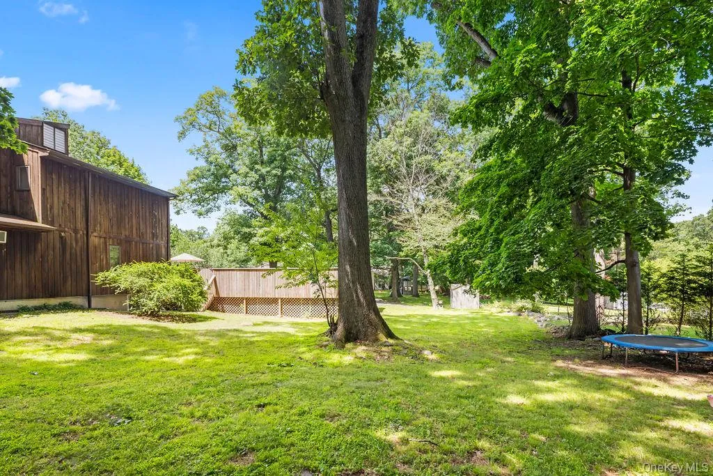 Spacious Back Yard Spacious Back Yard