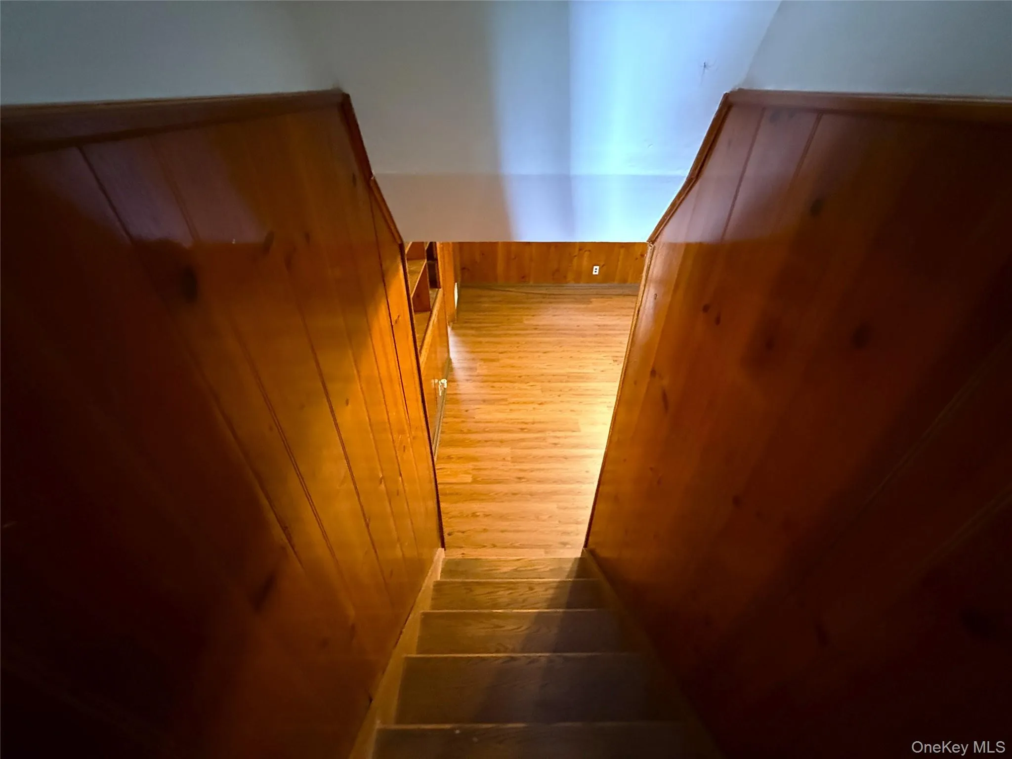 Stairs down to lower level Stairs down to lower level