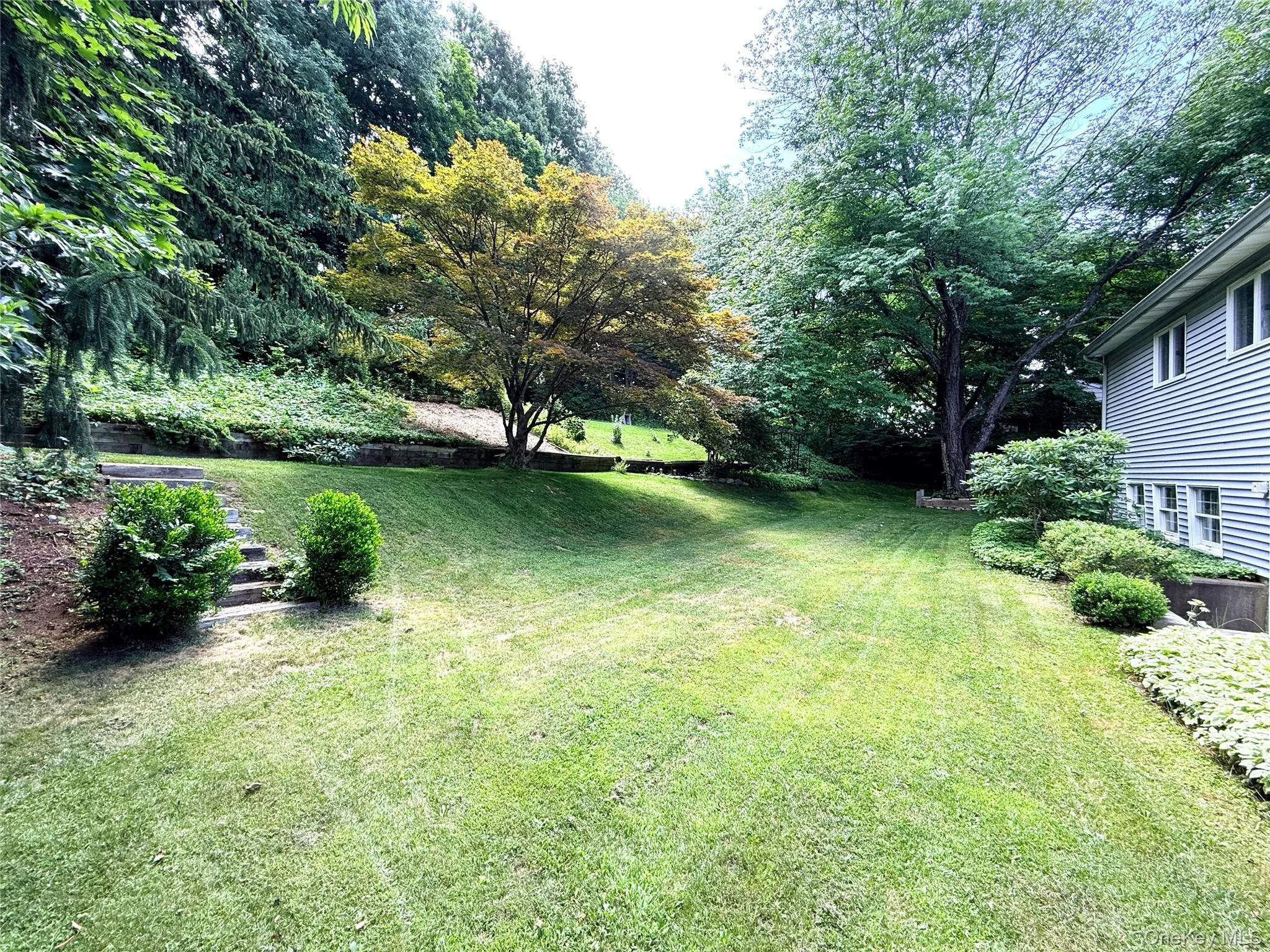 Rear yard Rear yard