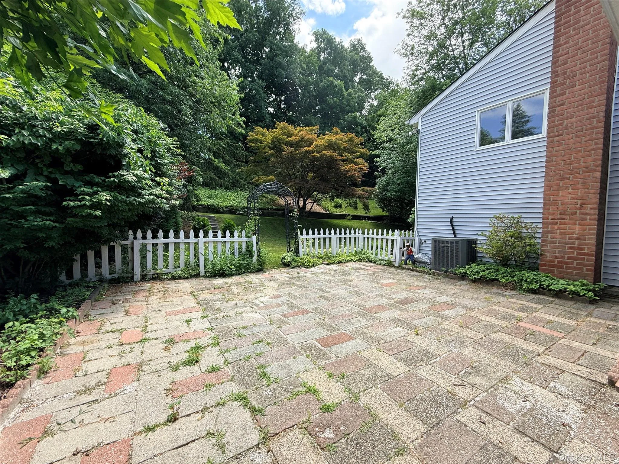 Patio Patio
