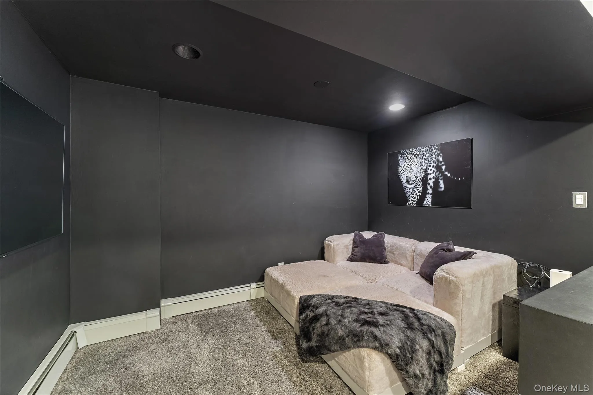 TV lounge TV lounge
