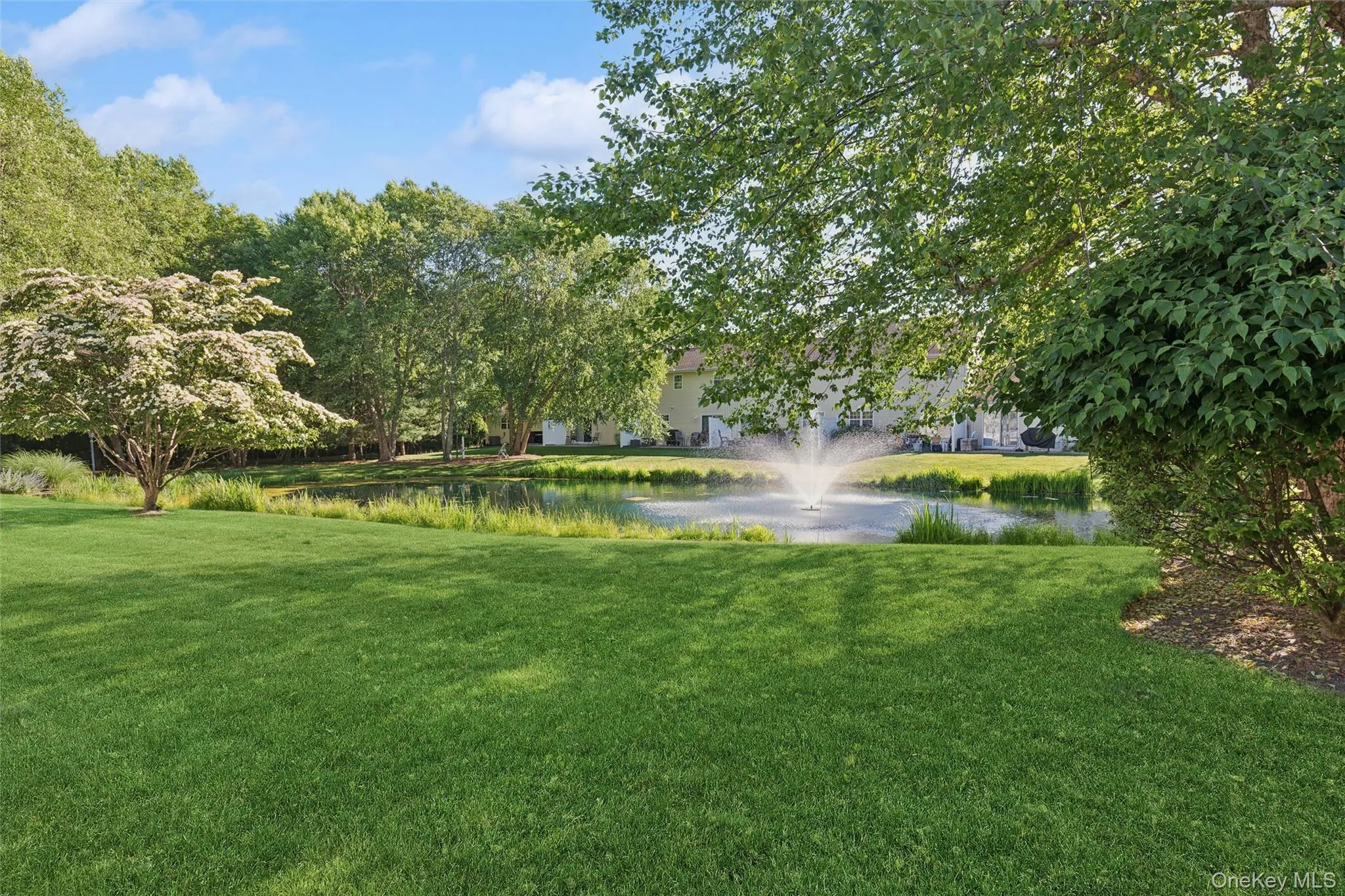 42 Blueberry Common, Riverhead, NY, 2 Bedrooms Bedrooms, 5 Rooms Rooms,2 BathroomsBathrooms,Residential,For Rent,Blueberry,0,1015325 42 Blueberry Common, Riverhead, NY, 2 Bedrooms Bedrooms, 5 Rooms Rooms,2 BathroomsBathrooms,Residential,For Rent,Blueberry,0,1015325
