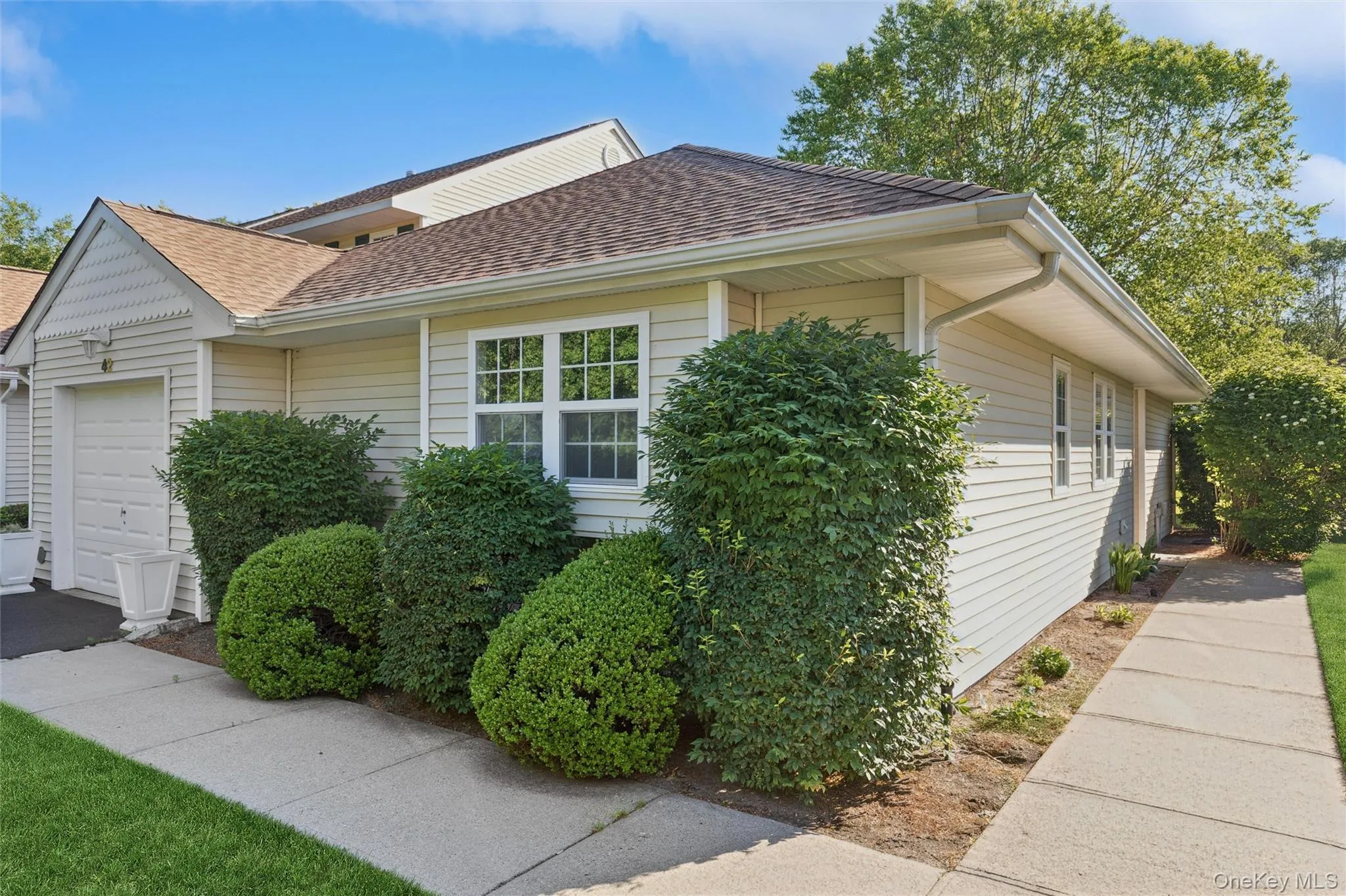42 Blueberry Common, Riverhead, NY, 2 Bedrooms Bedrooms, 5 Rooms Rooms,2 BathroomsBathrooms,Residential,For Rent,Blueberry,0,1015325 42 Blueberry Common, Riverhead, NY, 2 Bedrooms Bedrooms, 5 Rooms Rooms,2 BathroomsBathrooms,Residential,For Rent,Blueberry,0,1015325