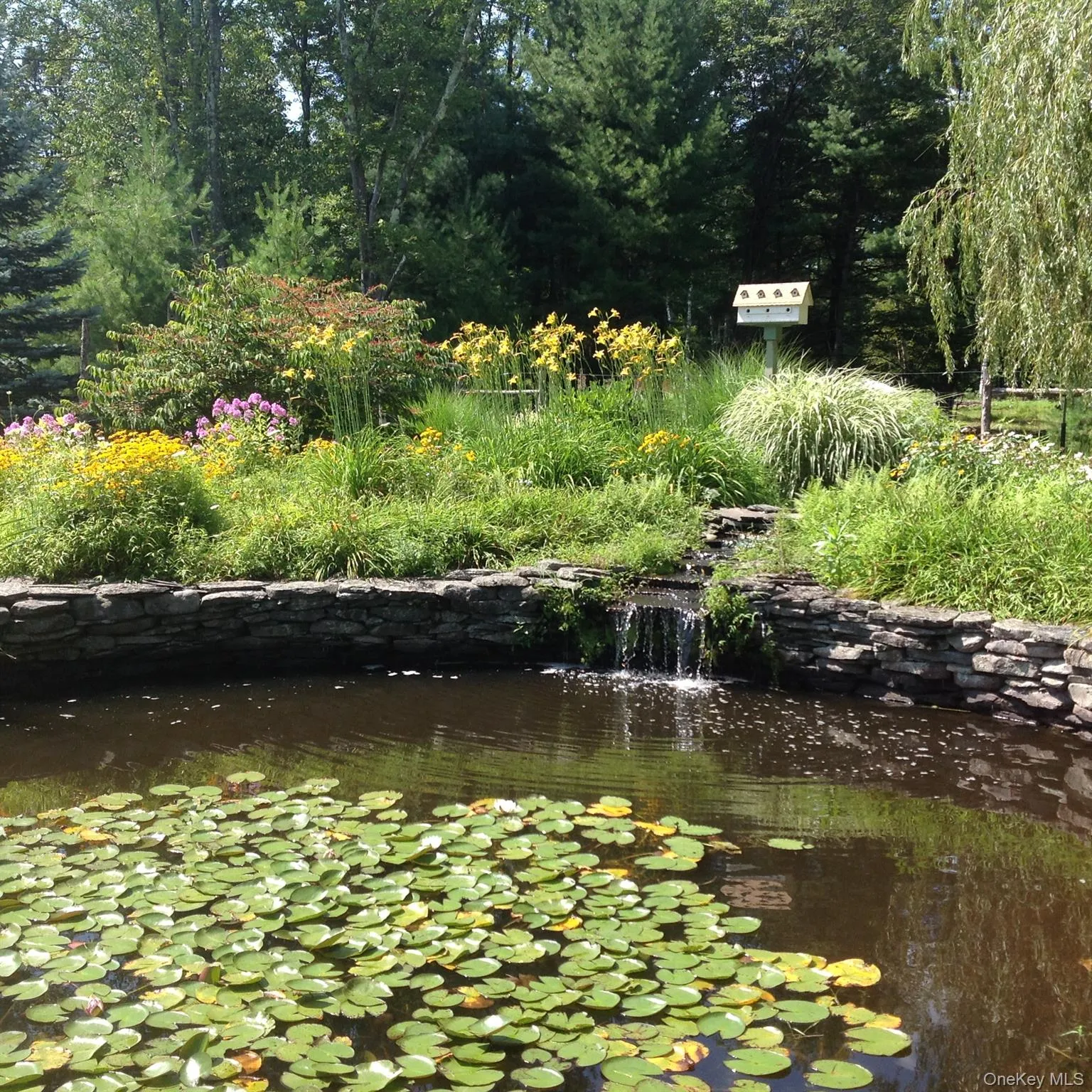 Waterfalls and Lilypads Waterfalls and Lilypads