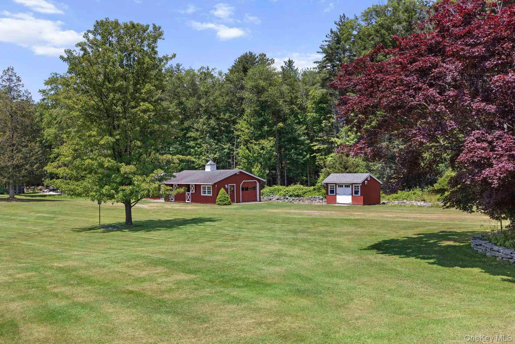 Barn and Tool Shed w/Electric Barn and Tool Shed w/Electric
