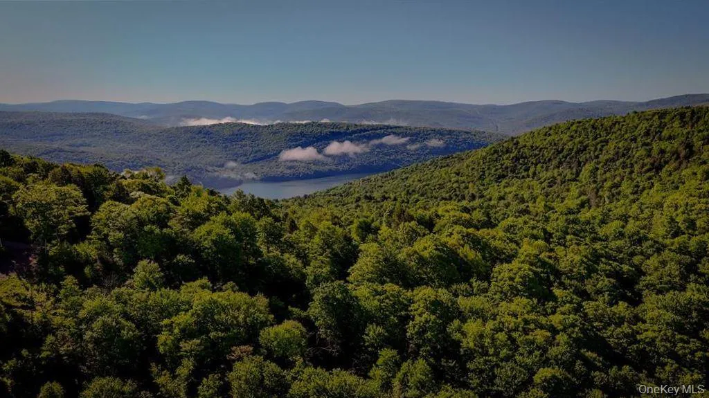 Aerial photo of the NYC land above the Pepacton Reservoir Aerial photo of the NYC land above the Pepacton Reservoir