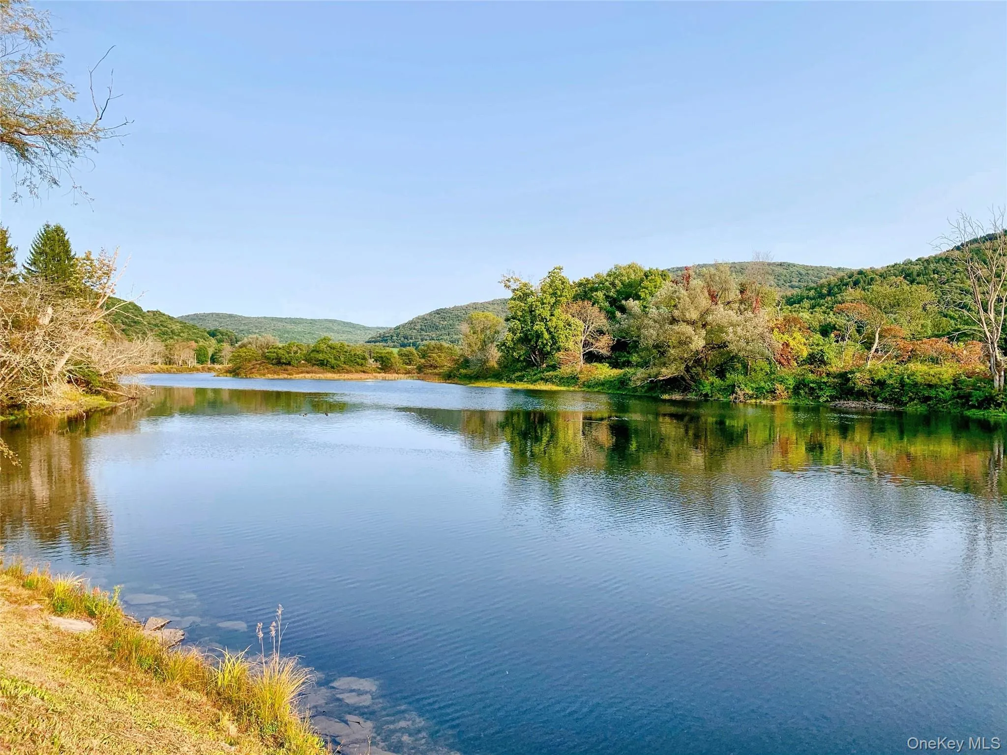 West Branch of Delaware River West Branch of Delaware River